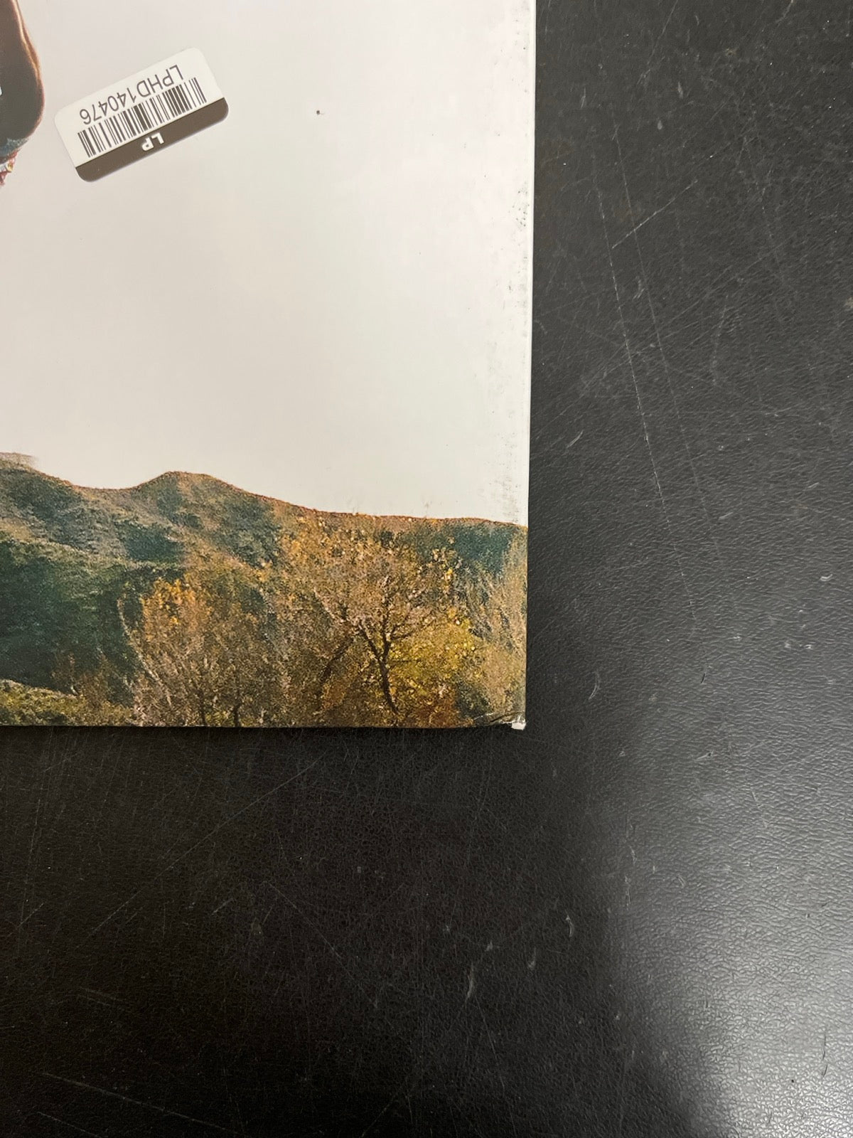 BACK_BR - Tyler, The Creator - Wolf LE Pink Vinyl USED NOT TESTED