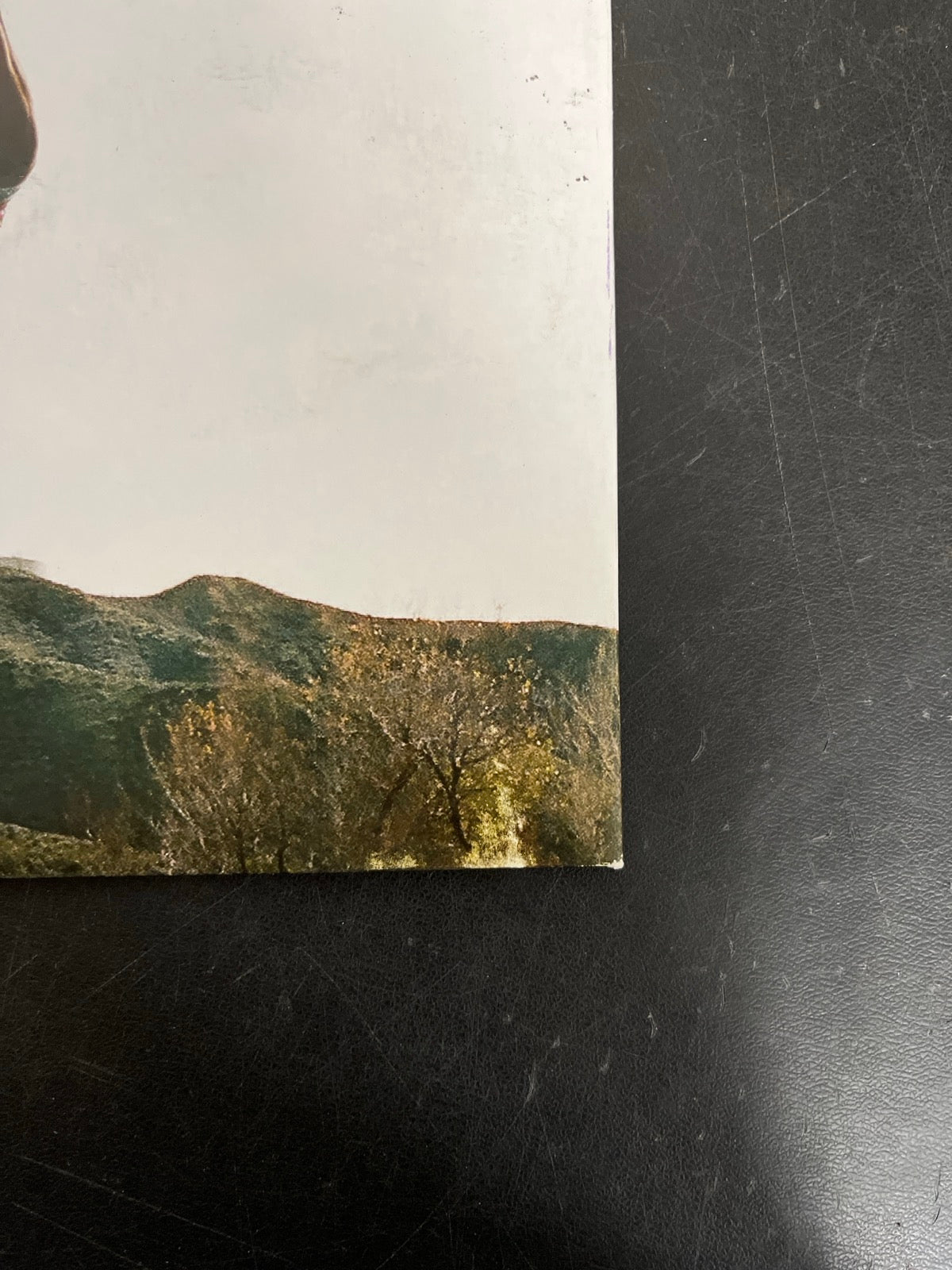 BACK_BR - Tyler, The Creator - Wolf LE Pink Vinyl USED NOT TESTED