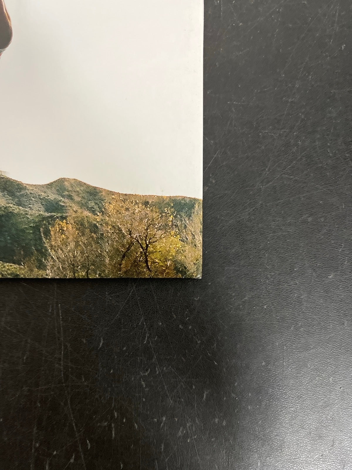 BACK_BR - Tyler, The Creator - Wolf LE Pink Vinyl USED NOT TESTED