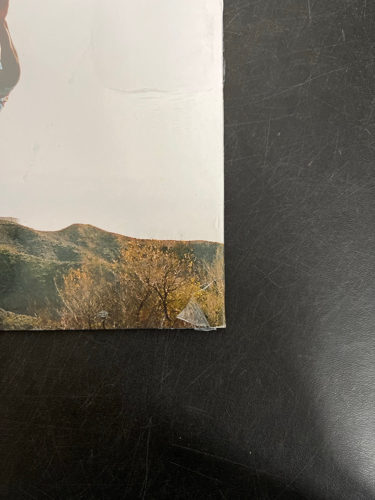 BACK_BR - Tyler, The Creator - Wolf LE Pink Vinyl USED NOT TESTED