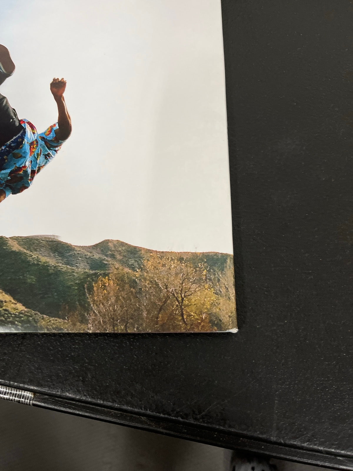 BACK_BR - Tyler, The Creator - Wolf LE Pink Vinyl USED NOT TESTED