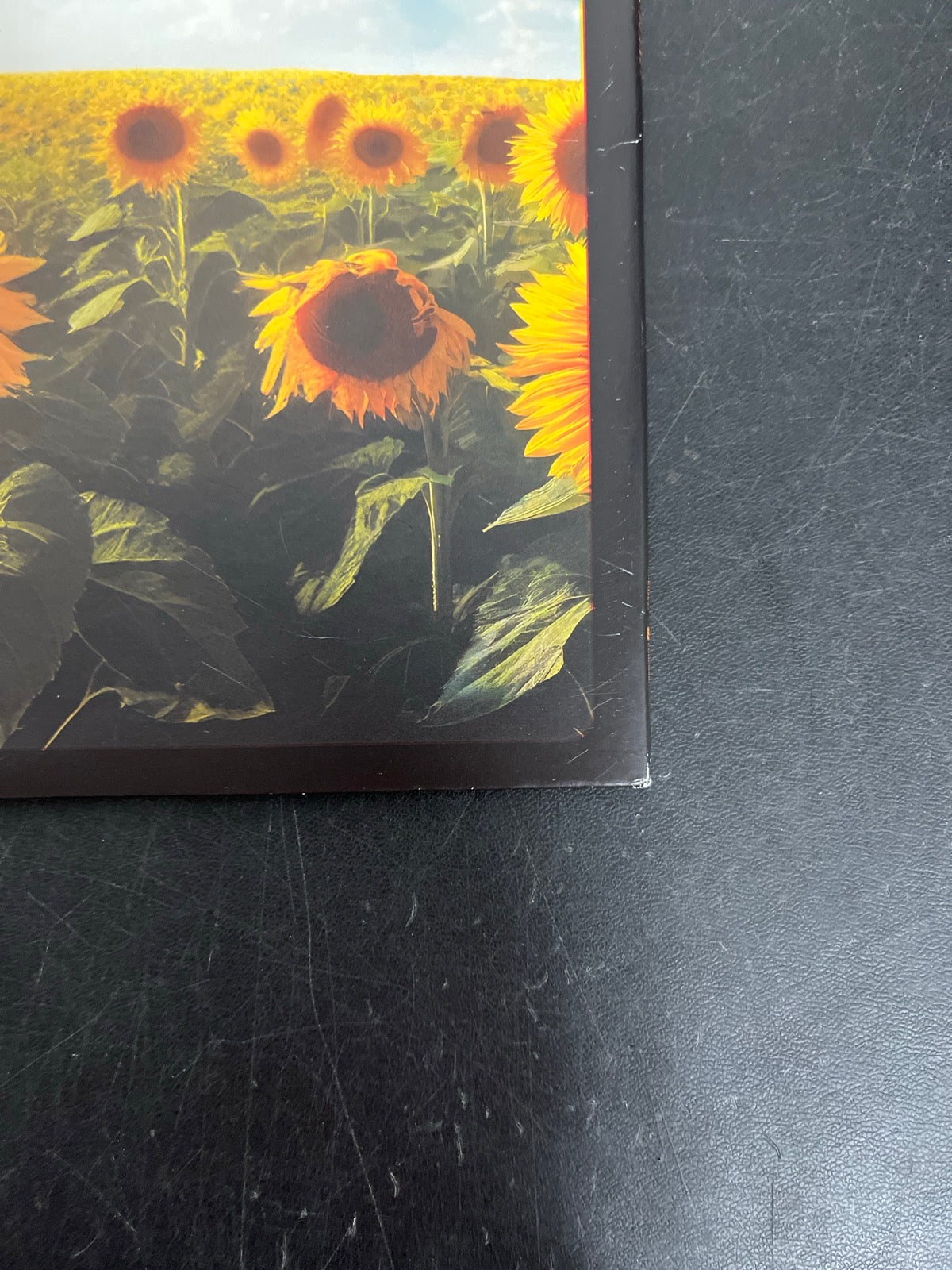 BACK_BR - Tears For Fears - Songs For A Nerv ... LE Watermelon Cream Vinyl USED NOT TESTED