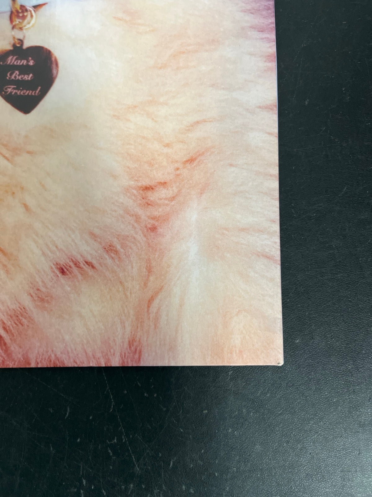 BACK_BR - Sabrina Carpenter - Man's Best Friend LE White Vinyl USED NOT TESTED