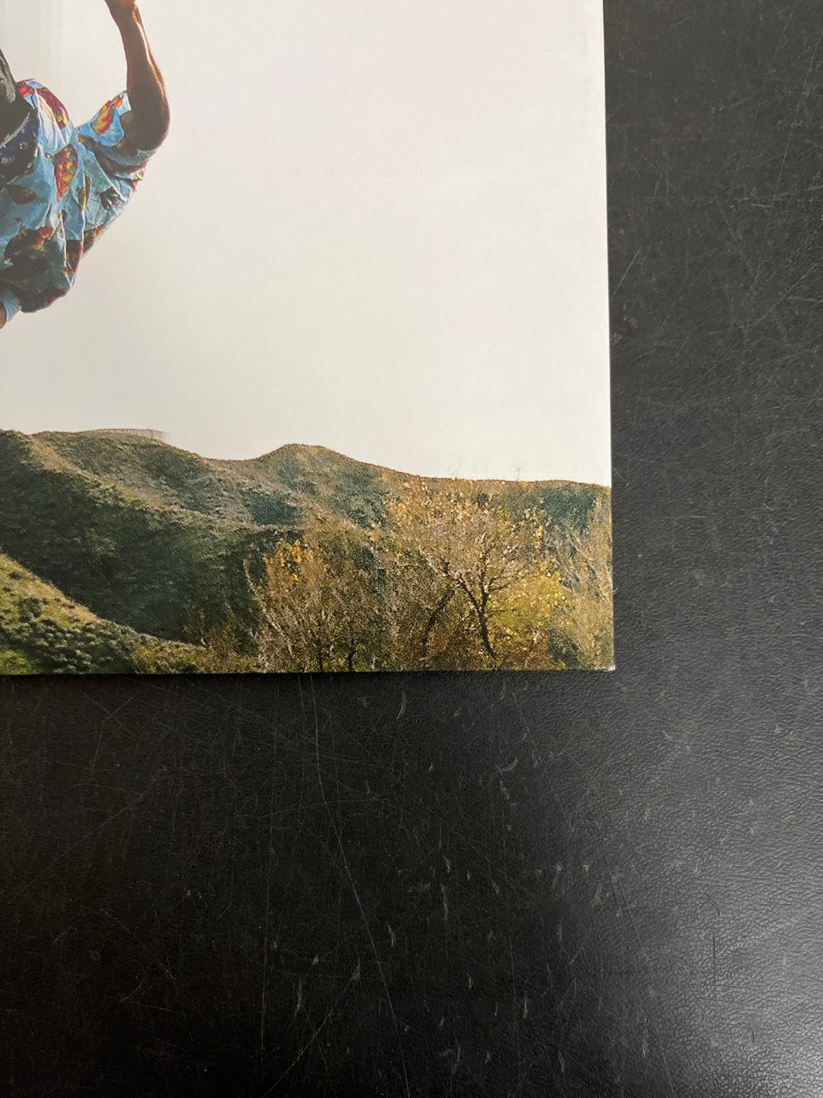 BACK_BR - Tyler, The Creator - Wolf LE Pink Vinyl USED NOT TESTED