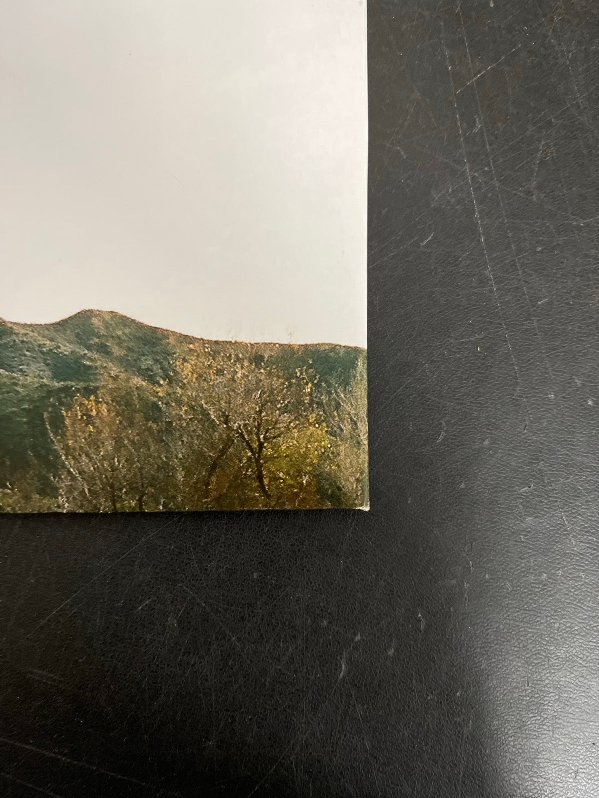 BACK_BR - Tyler, The Creator - Wolf LE Pink Vinyl USED NOT TESTED