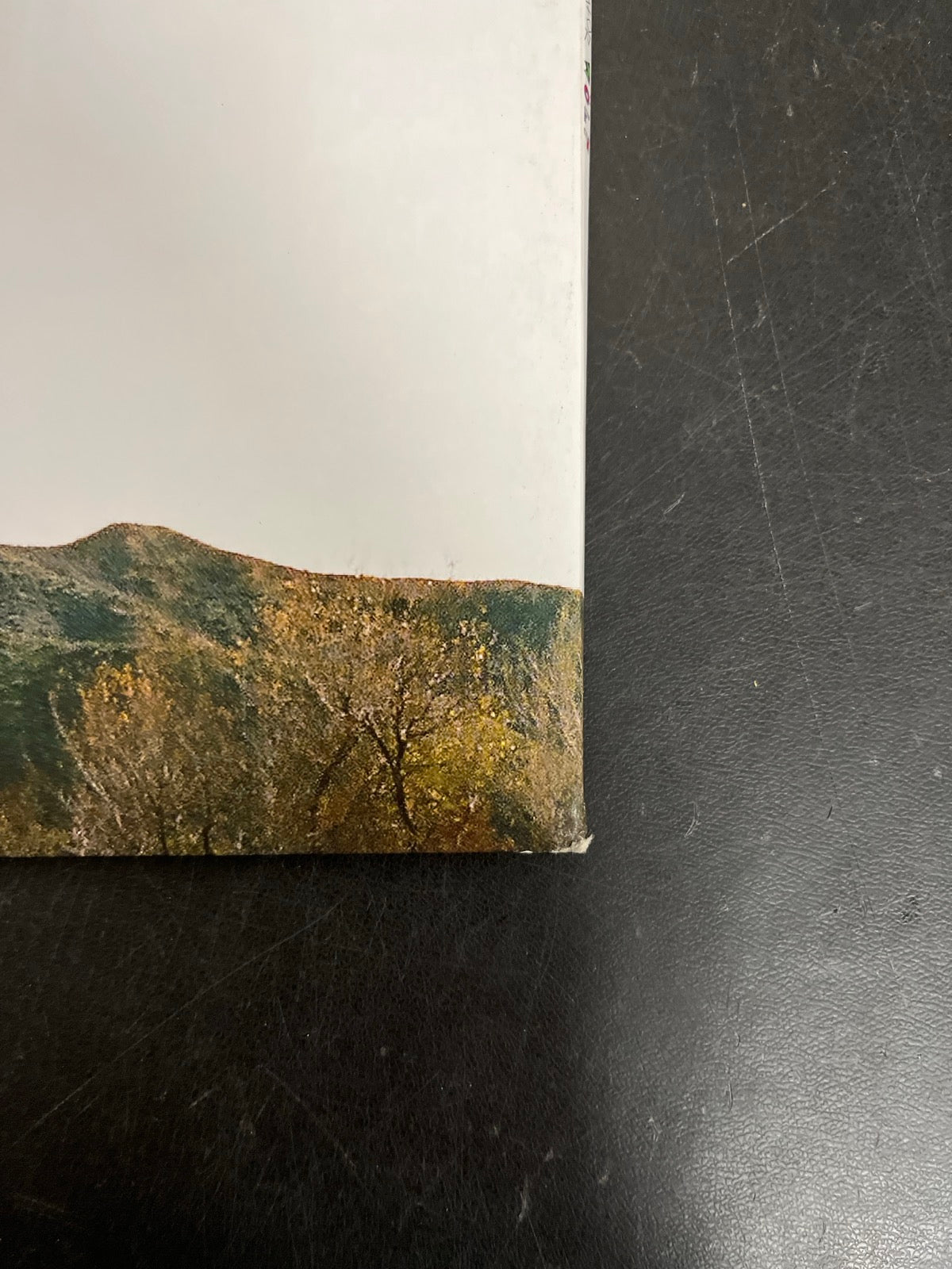 BACK_BR - Tyler, The Creator - Wolf LE Pink Vinyl USED NOT TESTED
