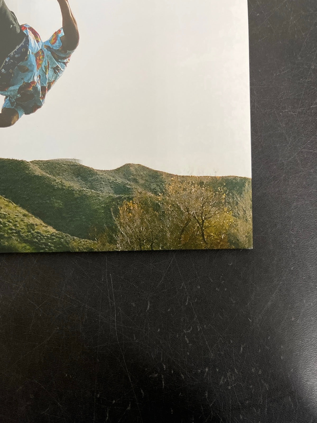 BACK_BR - Tyler, The Creator - Wolf LE Pink Vinyl USED NOT TESTED