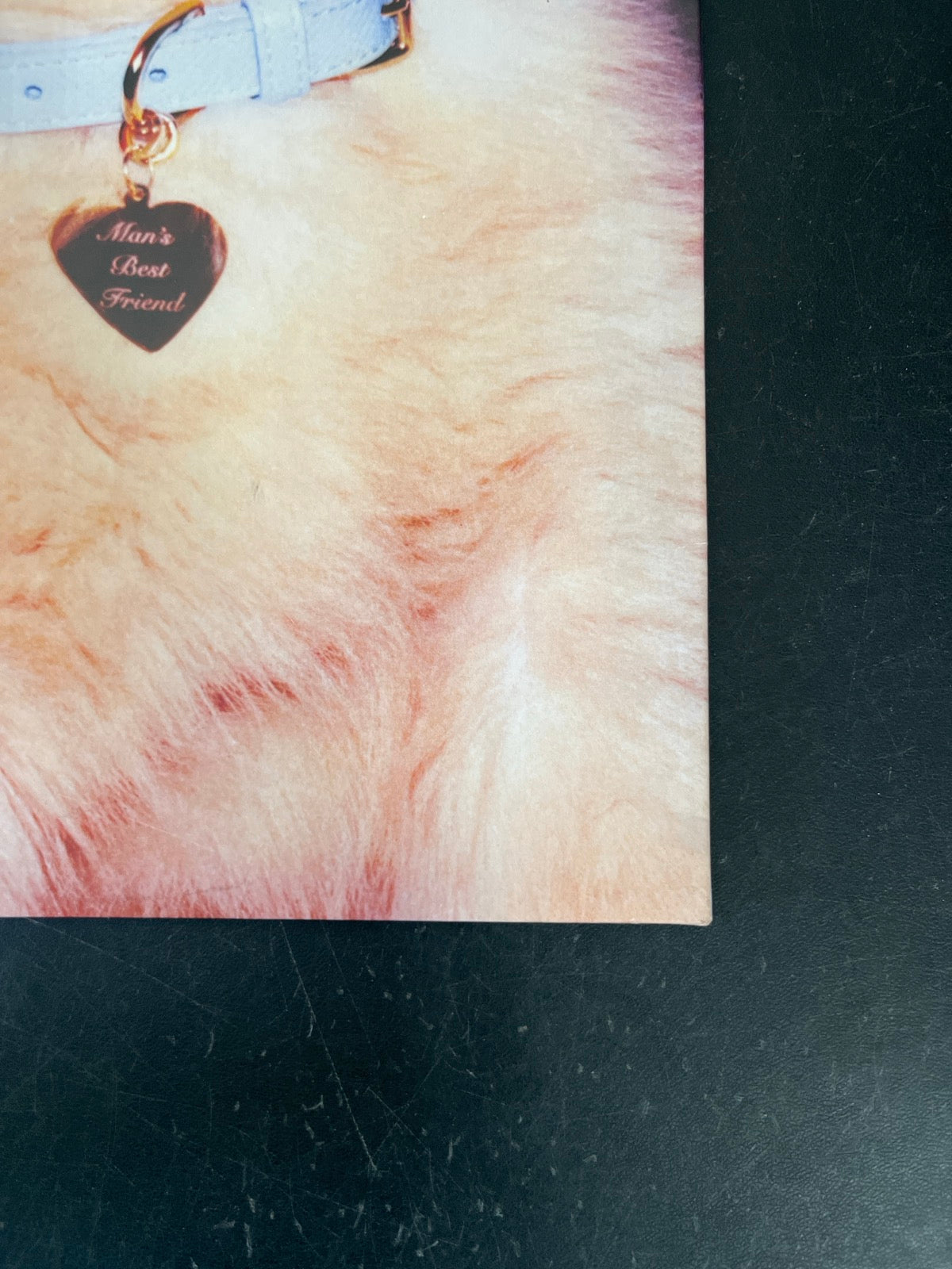 BACK_BR - Sabrina Carpenter - Man's Best Friend LE White Vinyl USED NOT TESTED