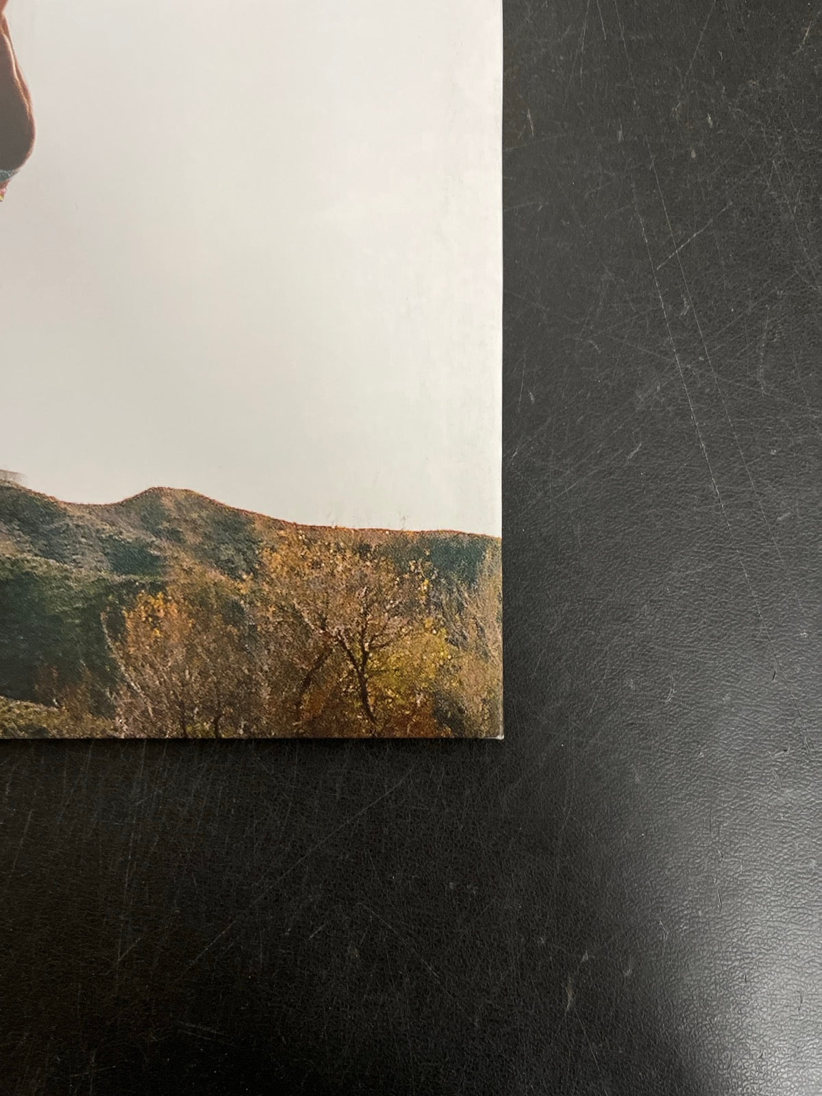 BACK_BR - Tyler, The Creator - Wolf LE Pink Vinyl USED NOT TESTED
