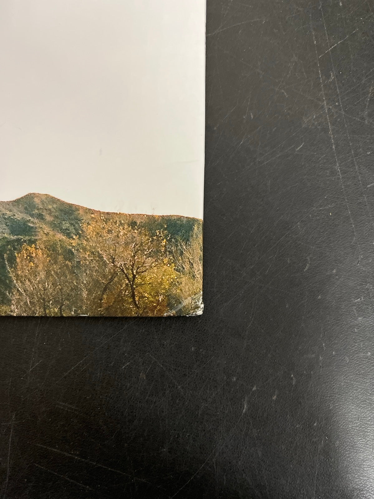 BACK_BR - Tyler, The Creator - Wolf LE Pink Vinyl USED NOT TESTED