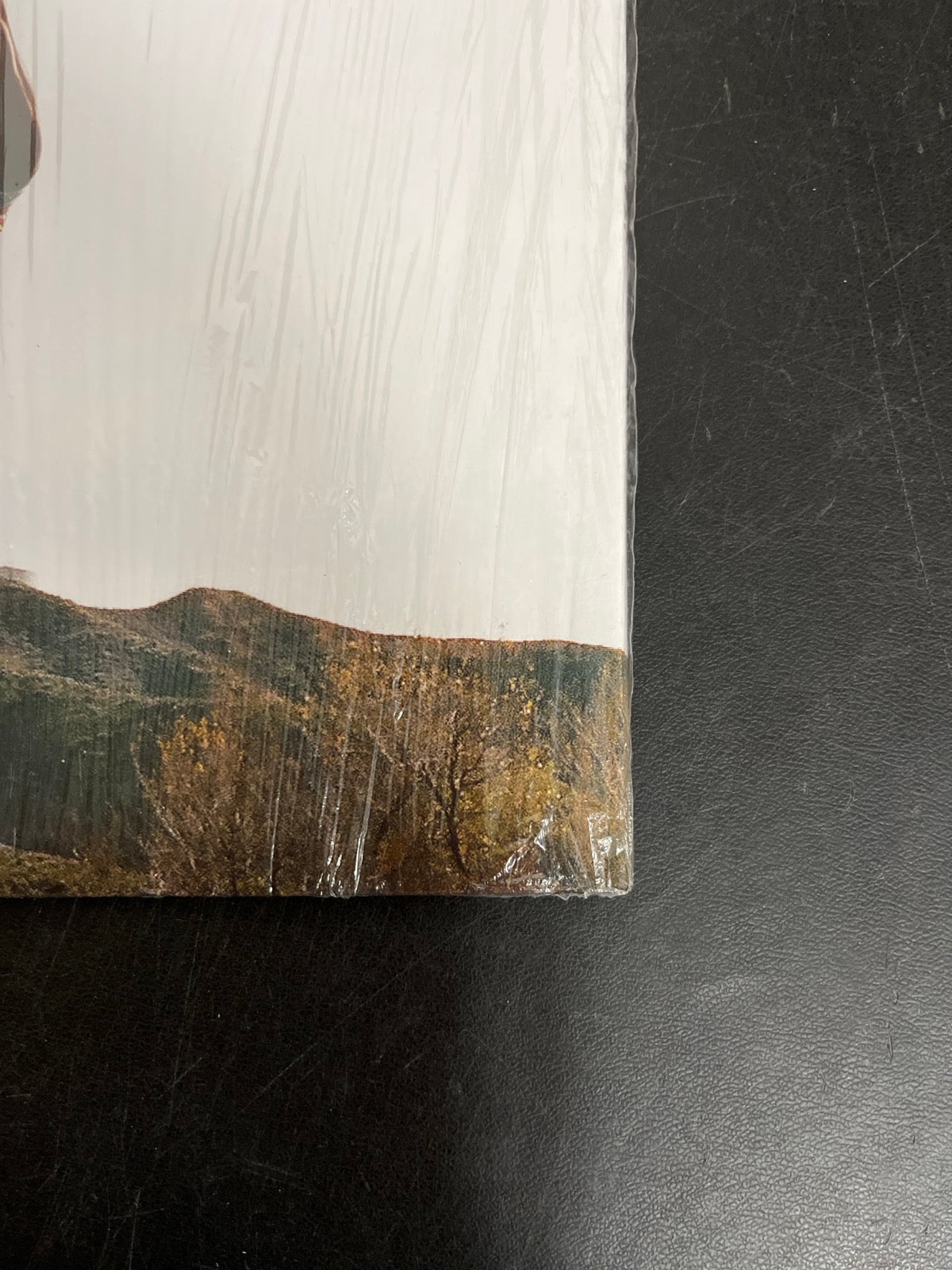 BACK_BR - Tyler, The Creator - Wolf LE Pink Vinyl USED NOT TESTED
