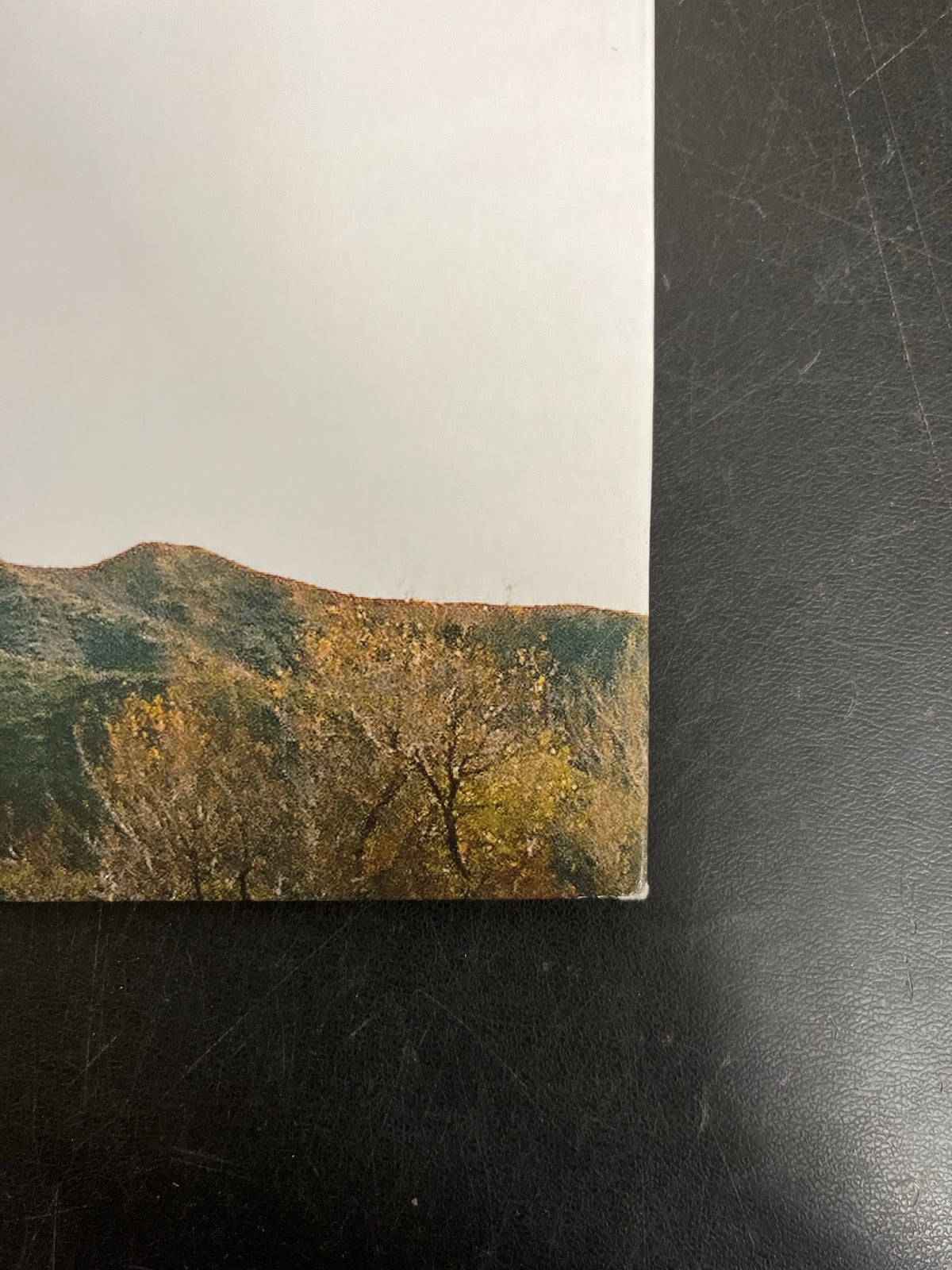 BACK_BR - Tyler, The Creator - Wolf LE Pink Vinyl USED NOT TESTED
