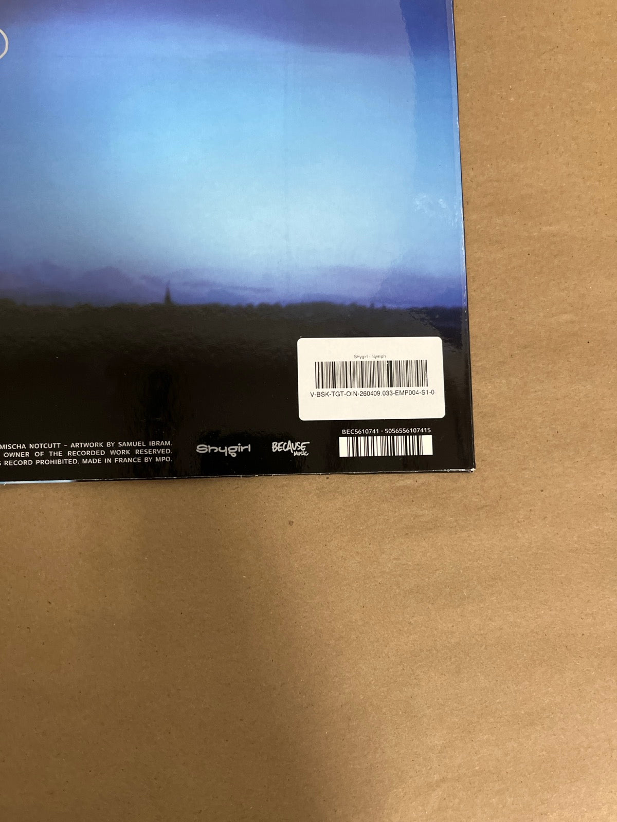 BACK_BR - Shygirl - Nymph LE Vinyl USED NOT TESTED