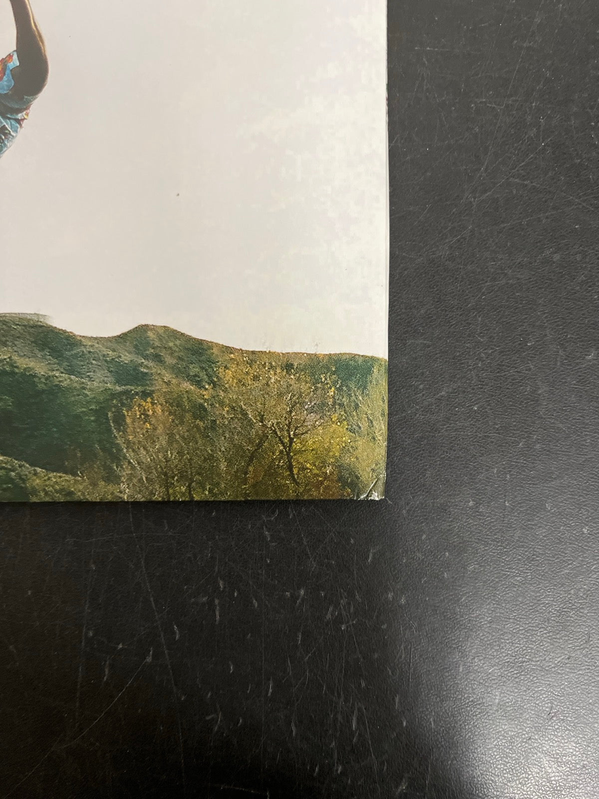 BACK_BR - Tyler, The Creator - Wolf LE Pink Vinyl USED NOT TESTED