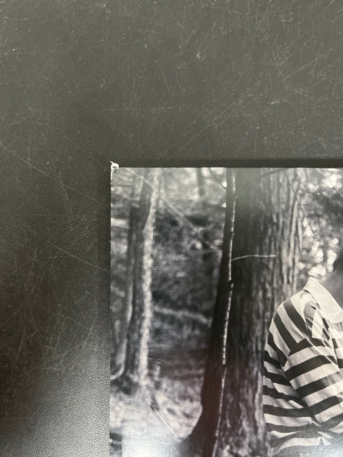 BACK_TL - Taylor Swift - Folklore LE Red Etched Vinyl USED NOT TESTED