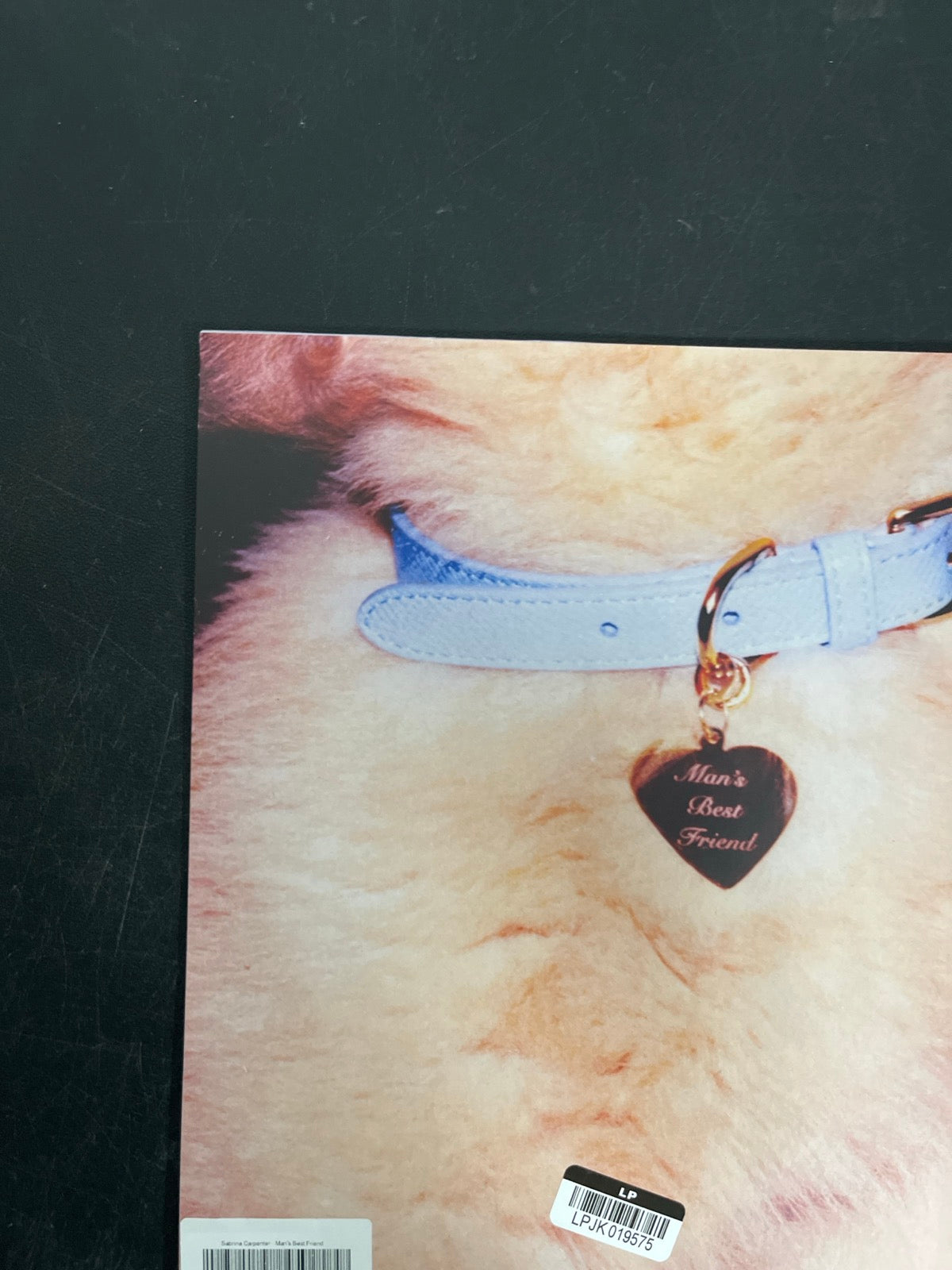 BACK_TL - Sabrina Carpenter - Man's Best Friend LE White Vinyl USED NOT TESTED
