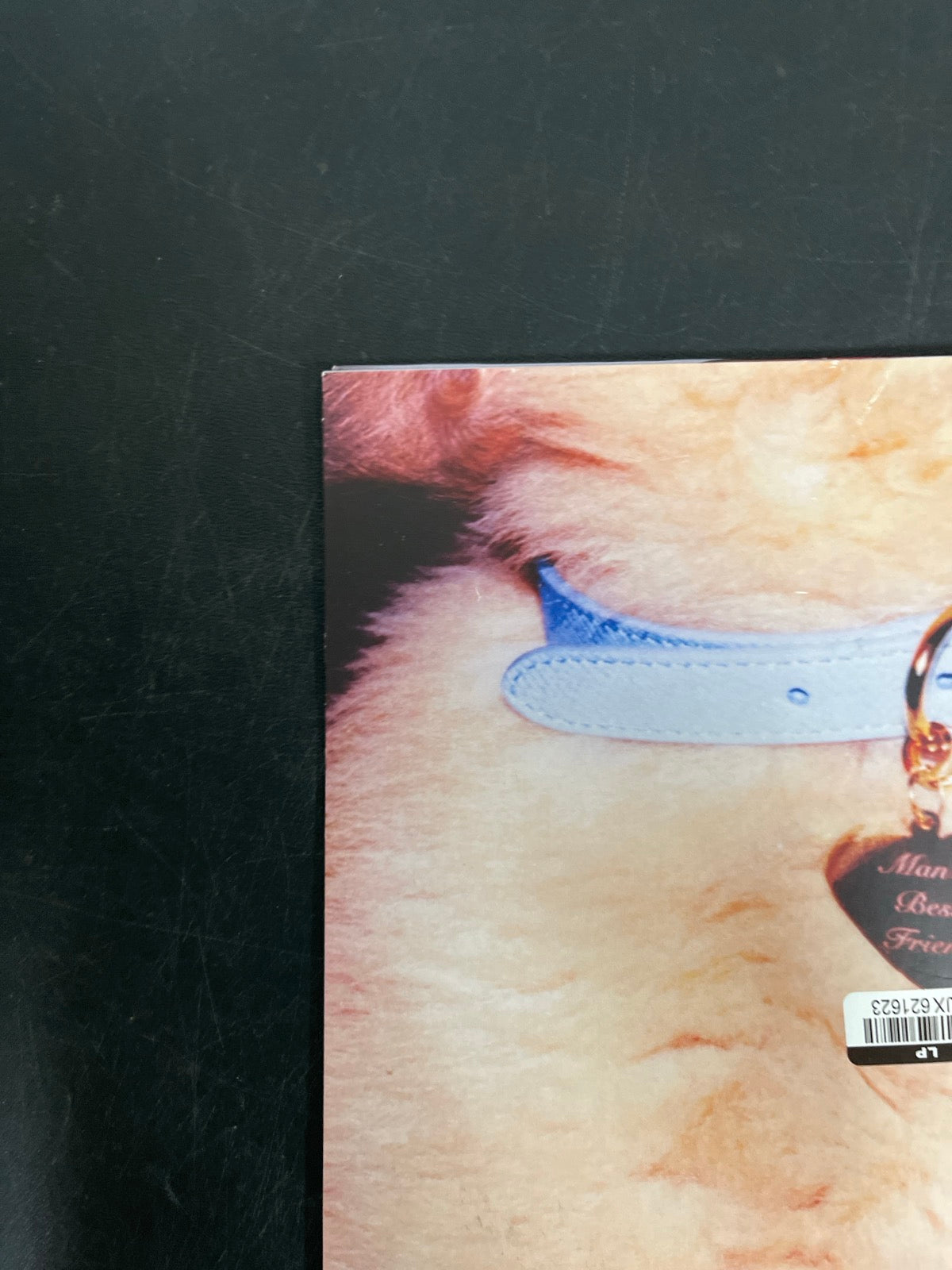 BACK_TL - Sabrina Carpenter - Man's Best Friend LE White Vinyl USED NOT TESTED
