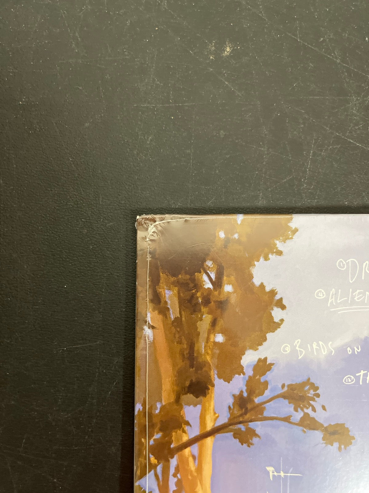 BACK_TL - Zayn - Room Under ... LE Blue Smoke Vinyl USED NOT TESTED