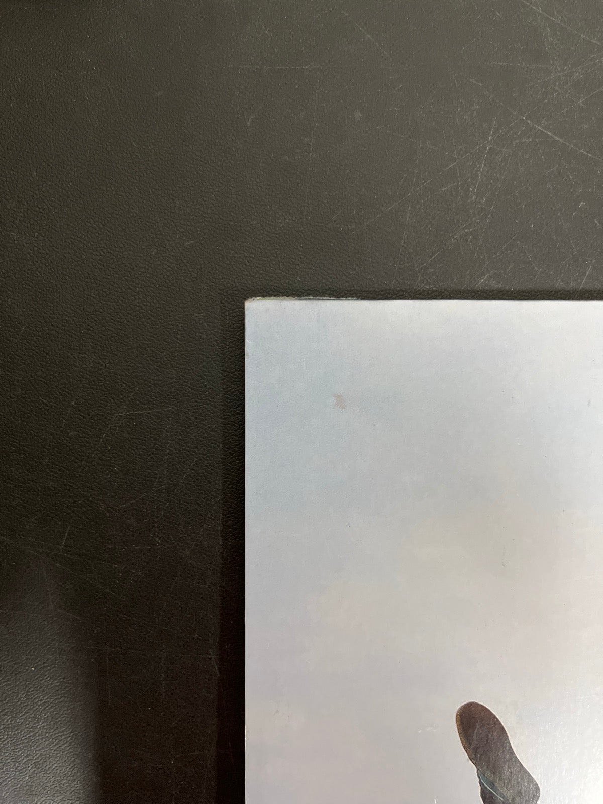 BACK_TL - Tyler, The Creator - Wolf LE Pink Vinyl USED NOT TESTED