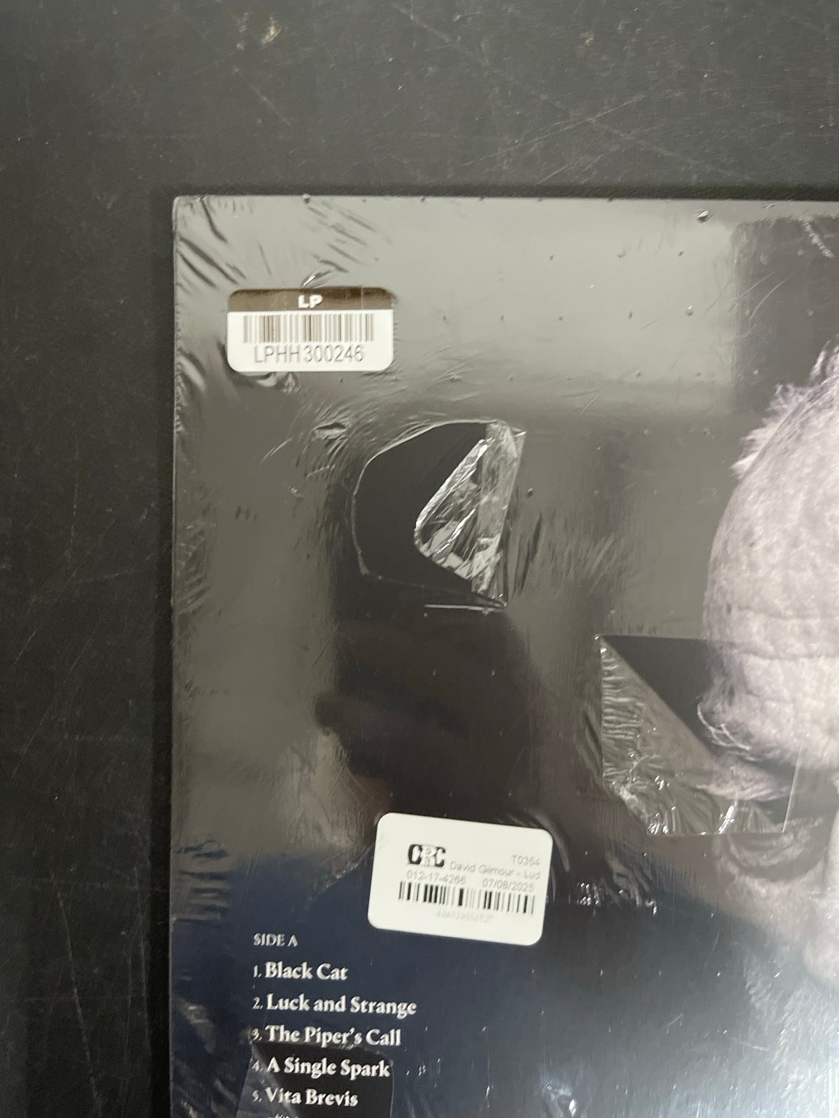 BACK_TL - David Gilmour - Luck and S... Target Exclusive Blue Vinyl USED NOT TESTED