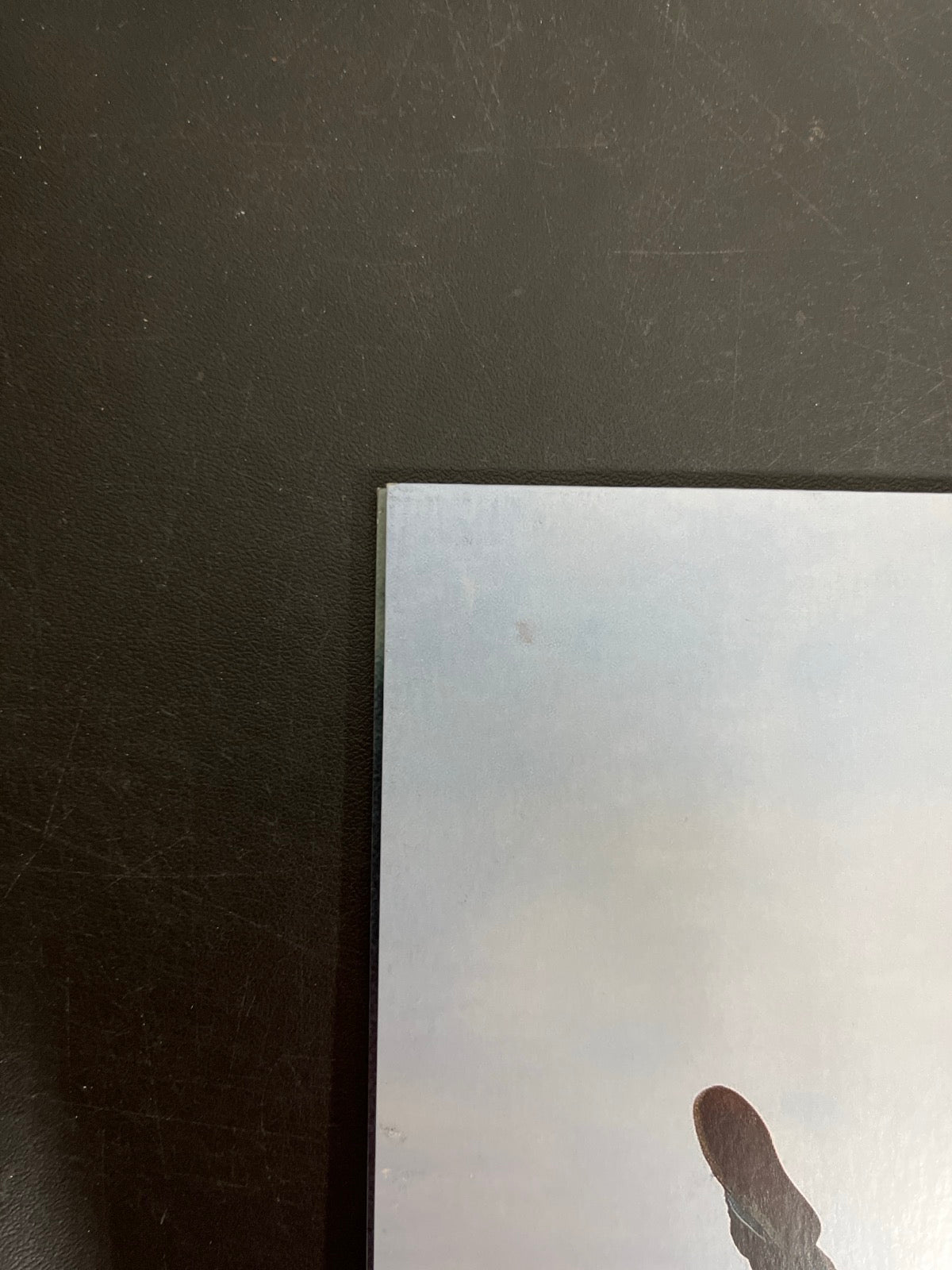 BACK_TL - Tyler, The Creator - Wolf LE Pink Vinyl USED NOT TESTED