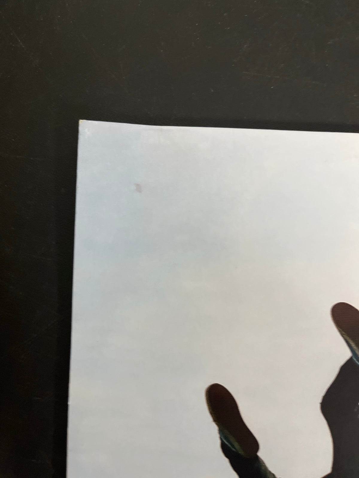 BACK_TL - Tyler, The Creator - Wolf LE Pink Vinyl USED NOT TESTED
