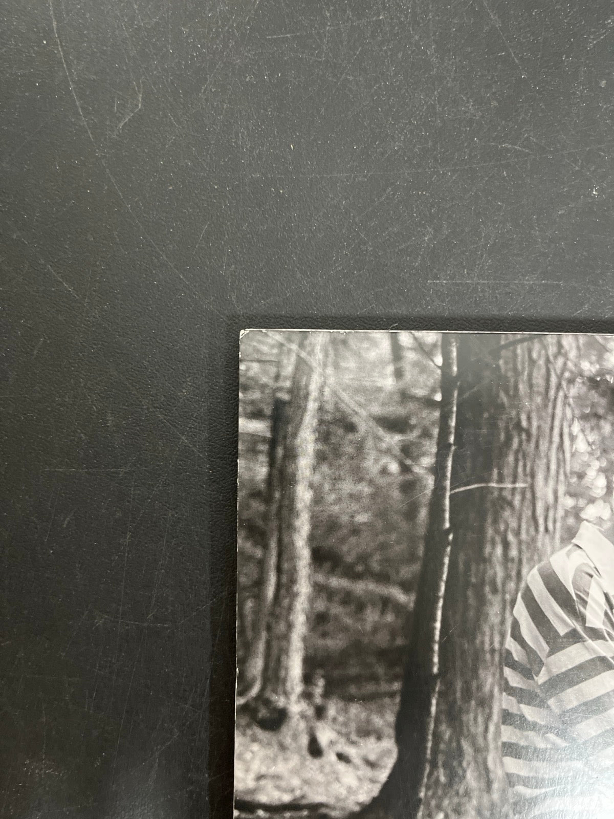 BACK_TL - Taylor Swift - Folklore LE Red Etched Vinyl USED NOT TESTED