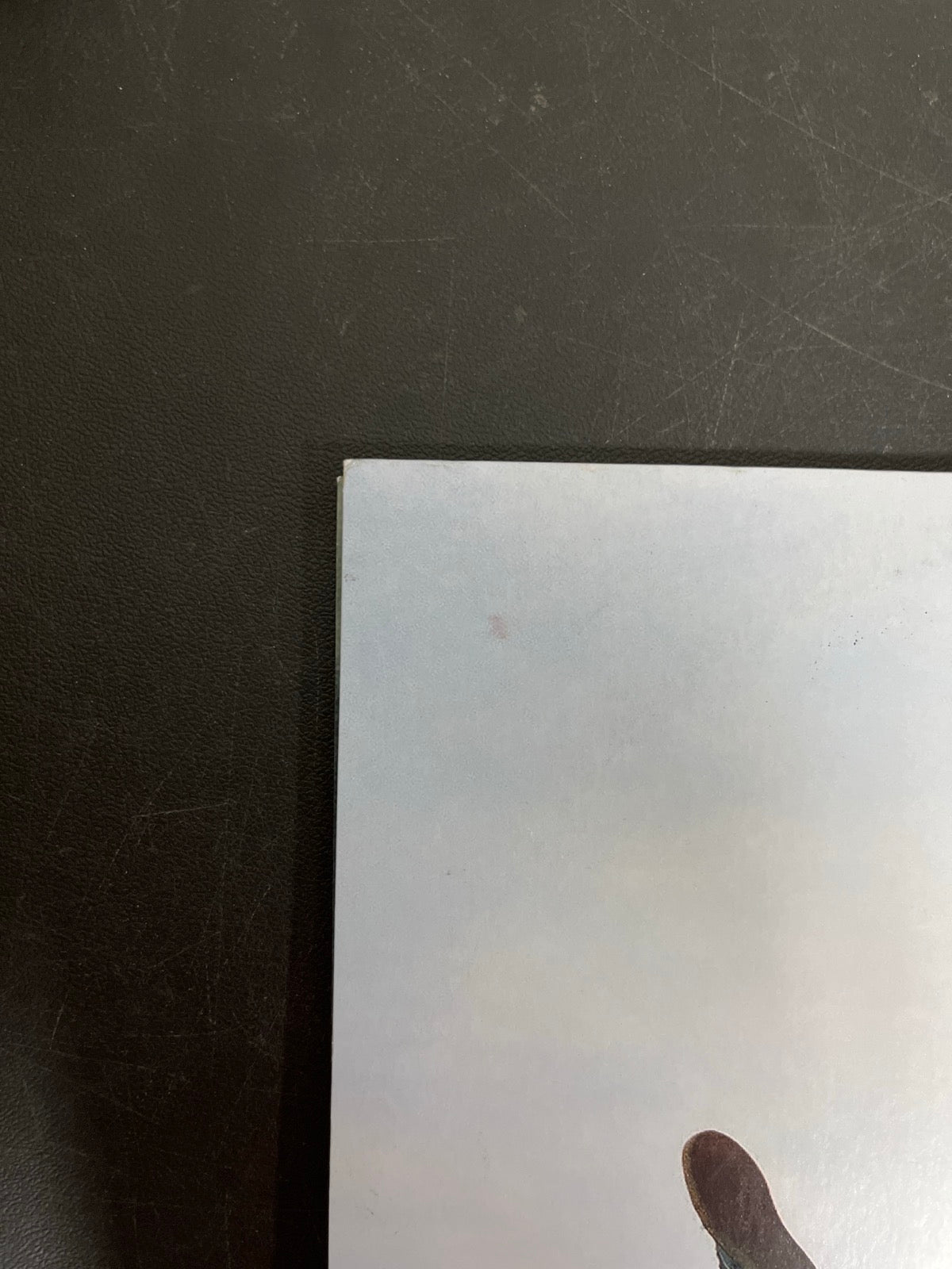 BACK_TL - Tyler, The Creator - Wolf LE Pink Vinyl USED NOT TESTED