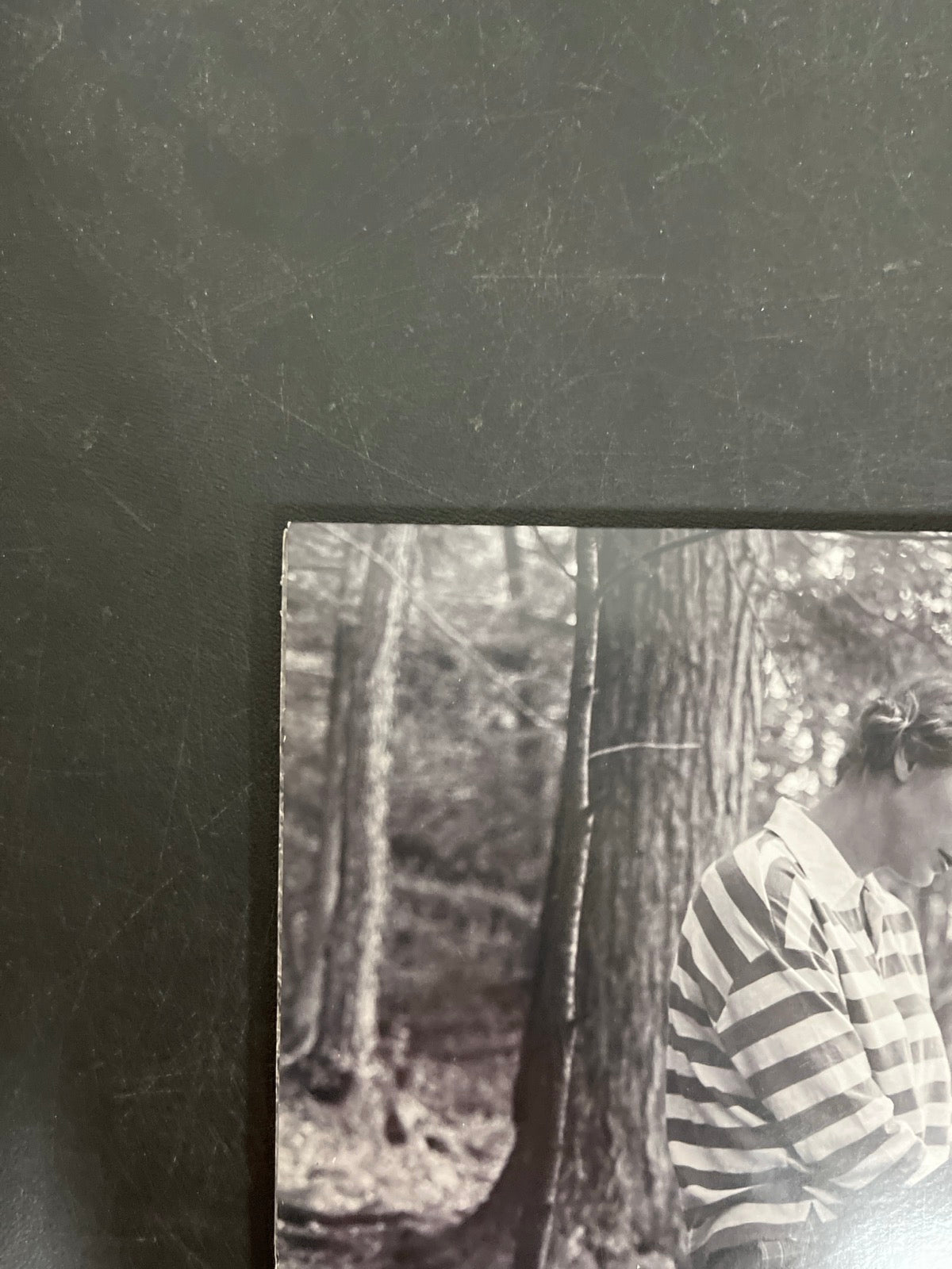 BACK_TL - Taylor Swift - Folklore LE Red Etched Vinyl USED NOT TESTED