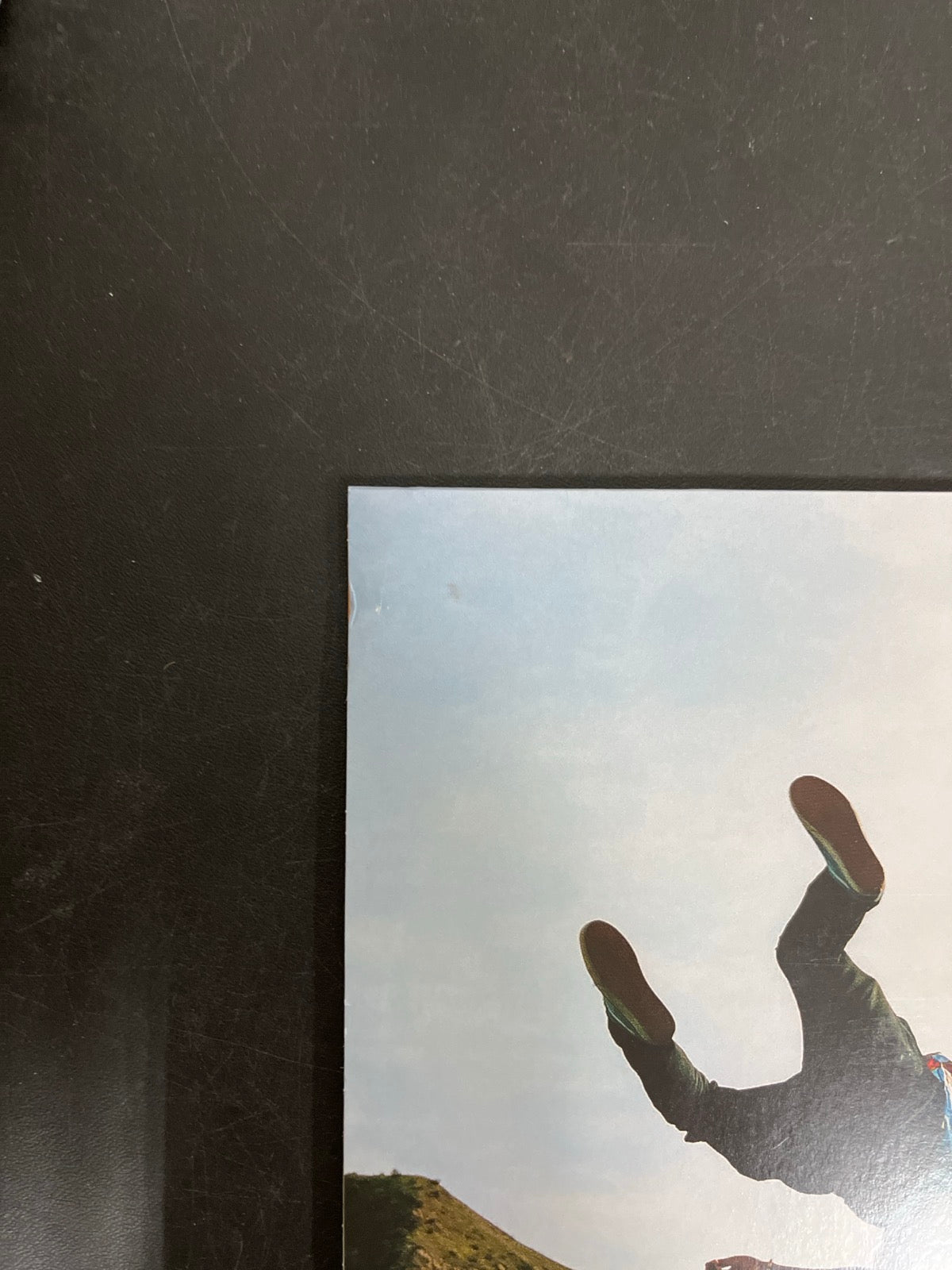 BACK_TL - Tyler, The Creator - Wolf LE Pink Vinyl USED NOT TESTED
