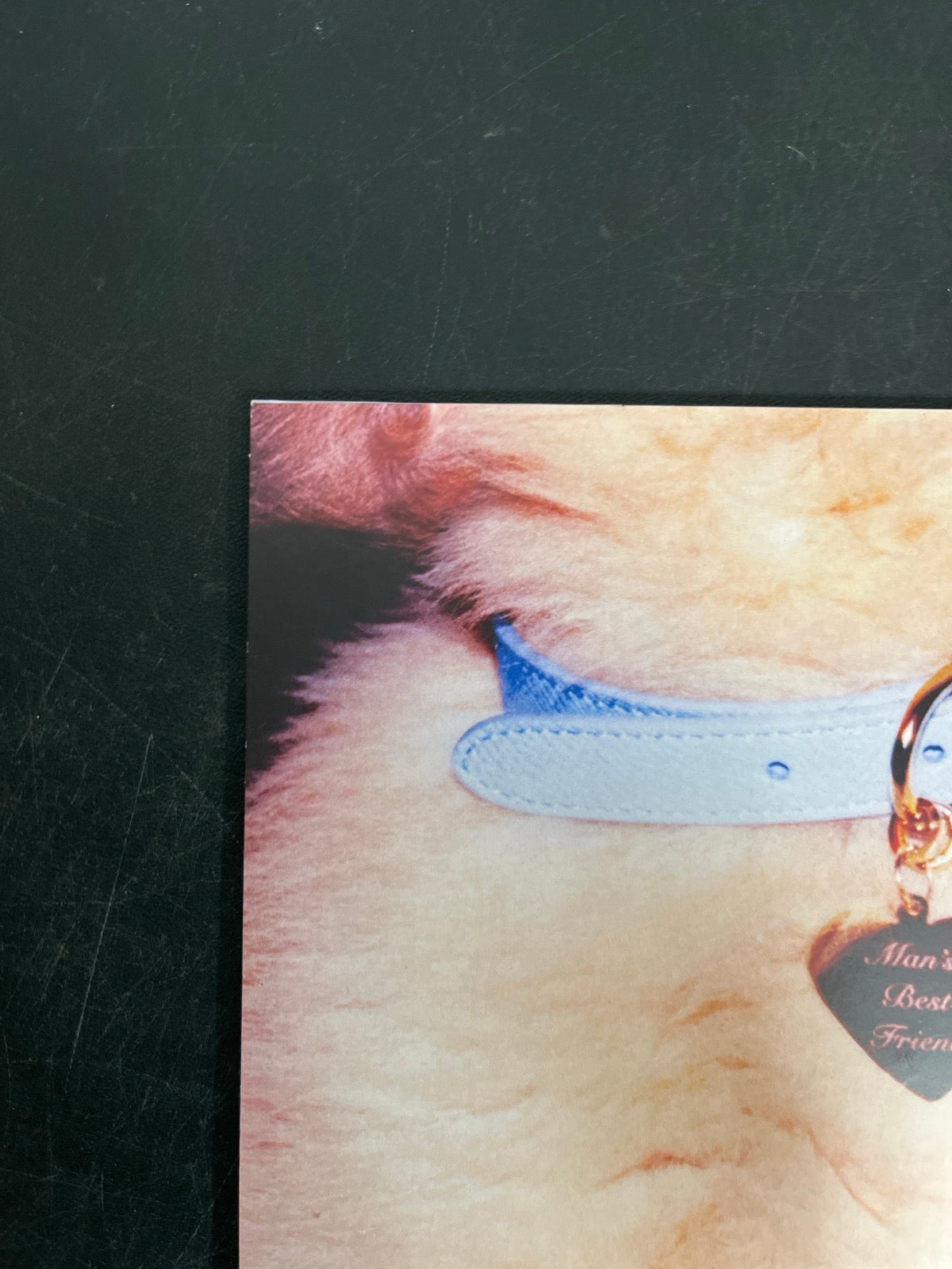 BACK_TL - Sabrina Carpenter - Man's Best Friend LE White Vinyl USED NOT TESTED