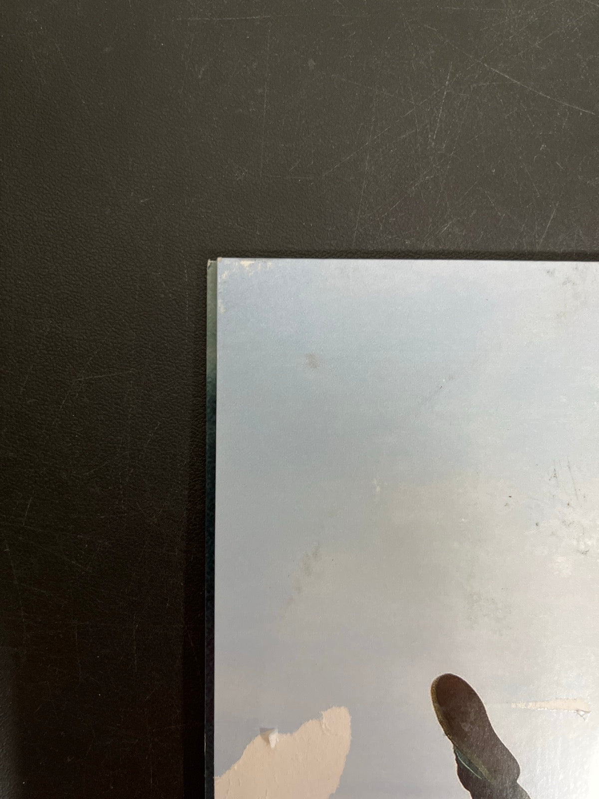 BACK_TL - Tyler, The Creator - Wolf LE Pink Vinyl USED NOT TESTED