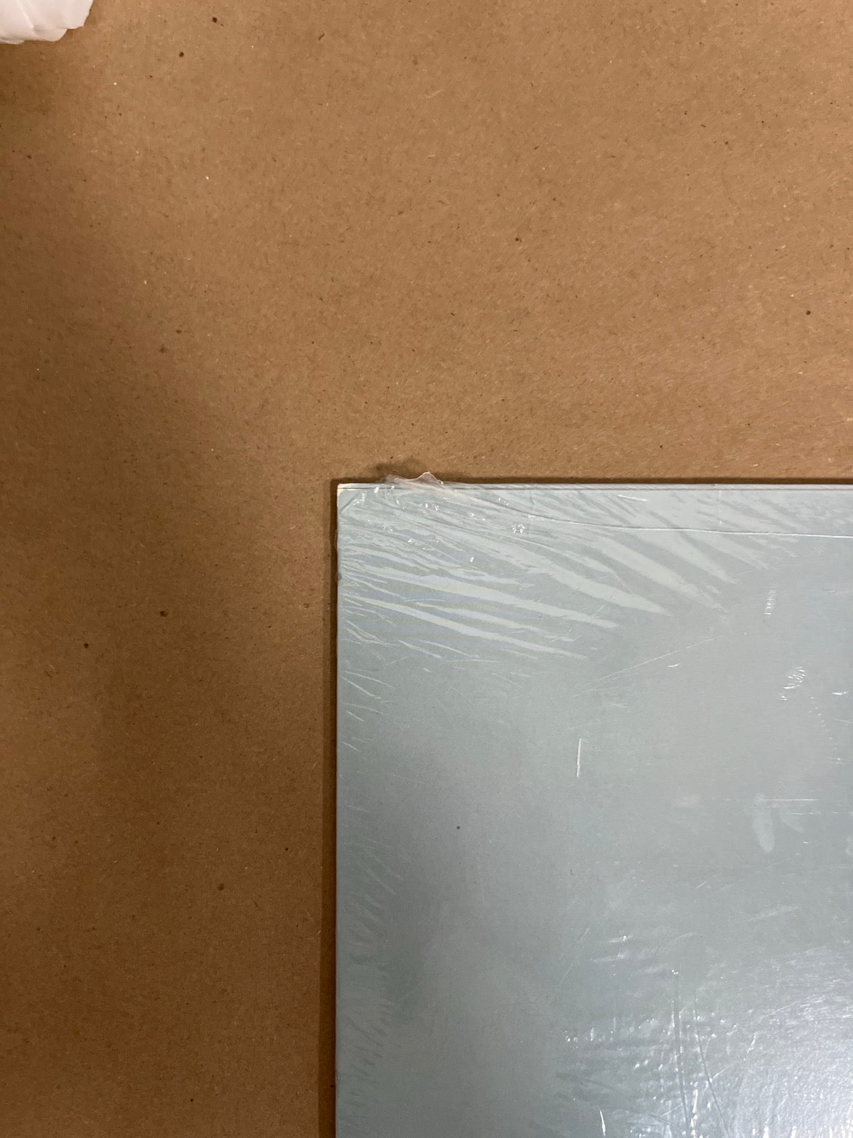 BACK_TL - Lizzo - Special LE Vinyl USED NOT TESTED