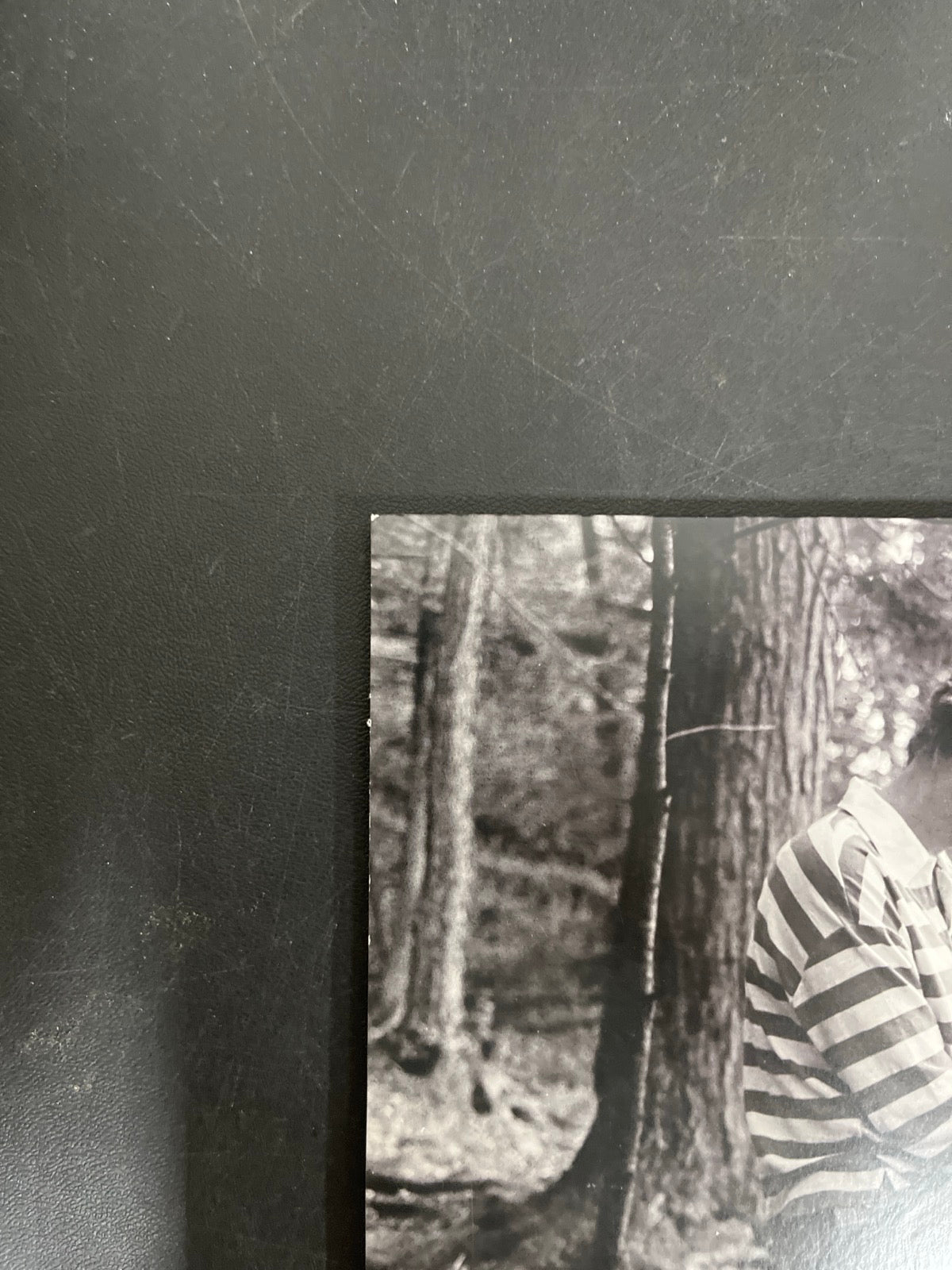 BACK_TL - Taylor Swift - Folklore LE Red Etched Vinyl USED NOT TESTED