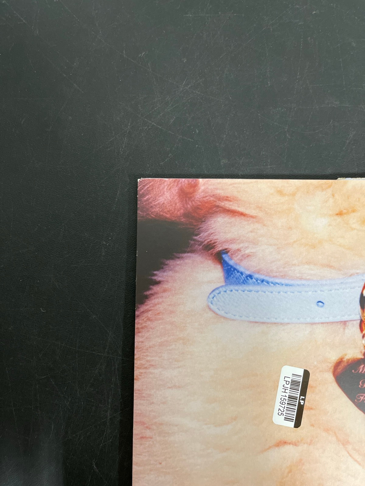 BACK_TL - Sabrina Carpenter - Man's Best Friend LE White Vinyl USED NOT TESTED