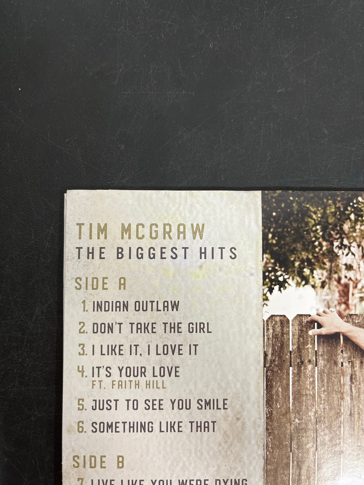 BACK_TL - Tim McGraw - The Biggest Hits Vinyl WARPED NOT TESTED