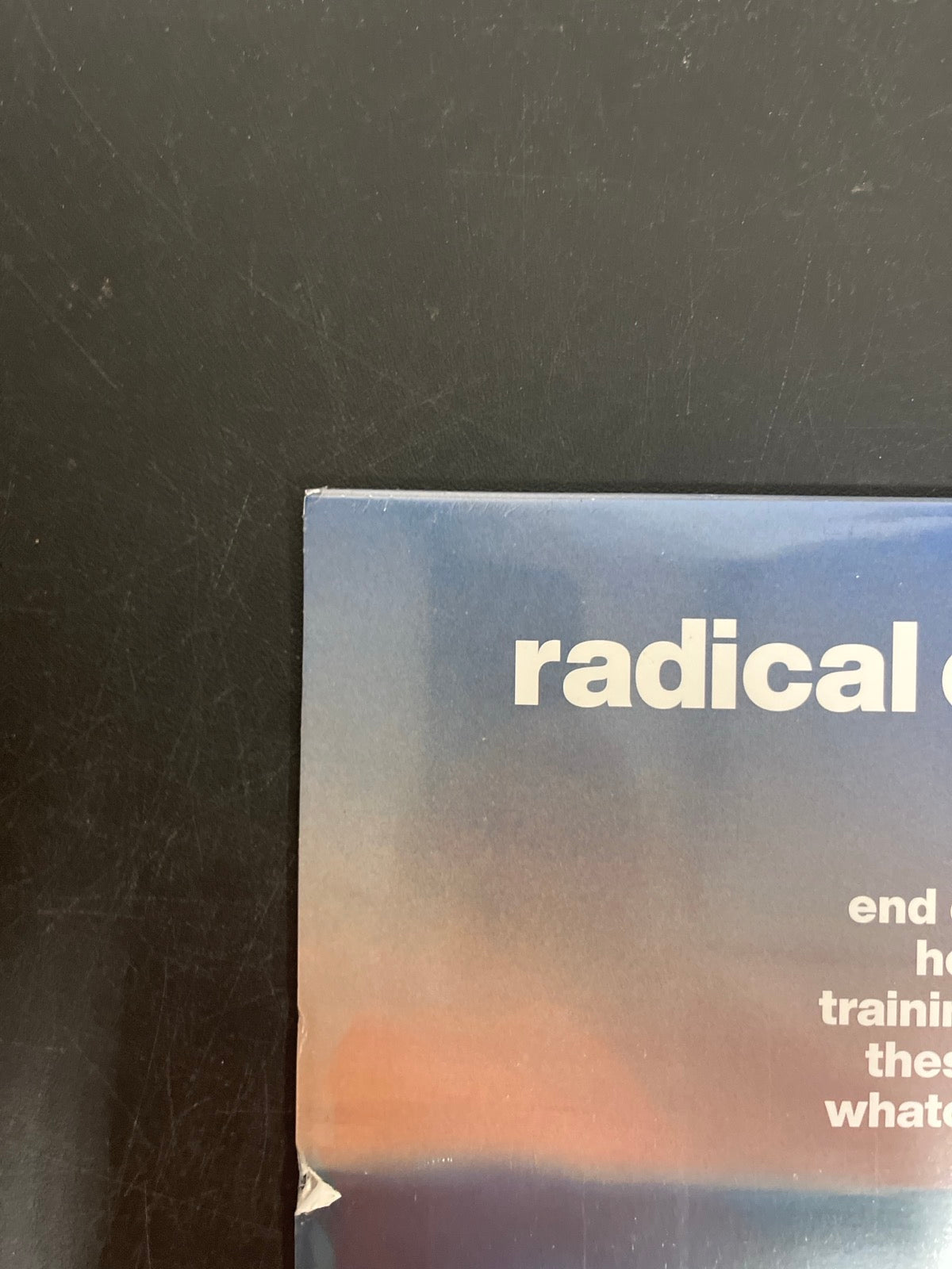 BACK_TL - Dua Lipa - Radical Optimism LE Clear Vinyl USED NOT TESTED