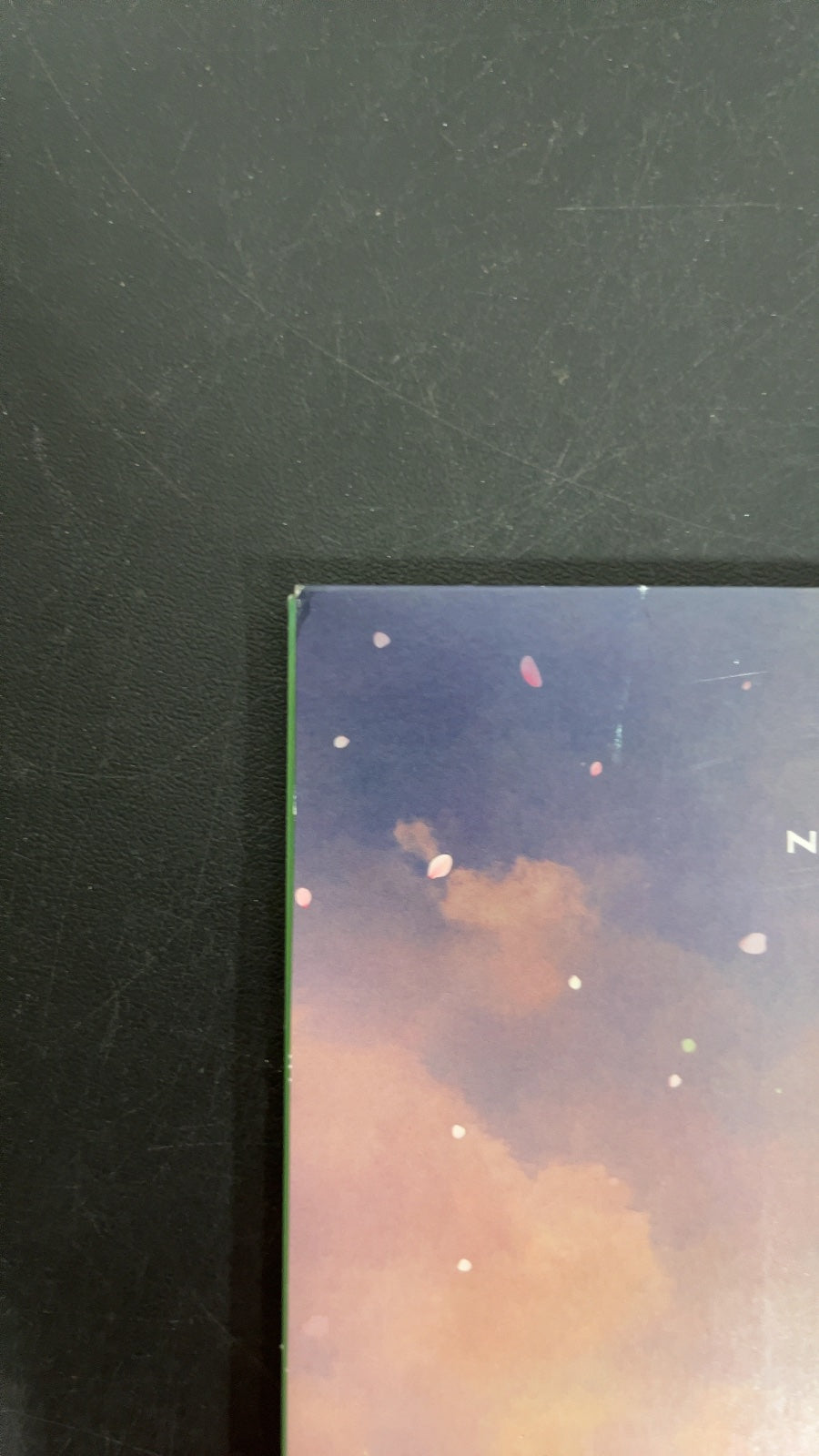 BACK_TL - Wicked OST LE Etched Green and Pink Splatter Vinyl USED NOT TESTED
