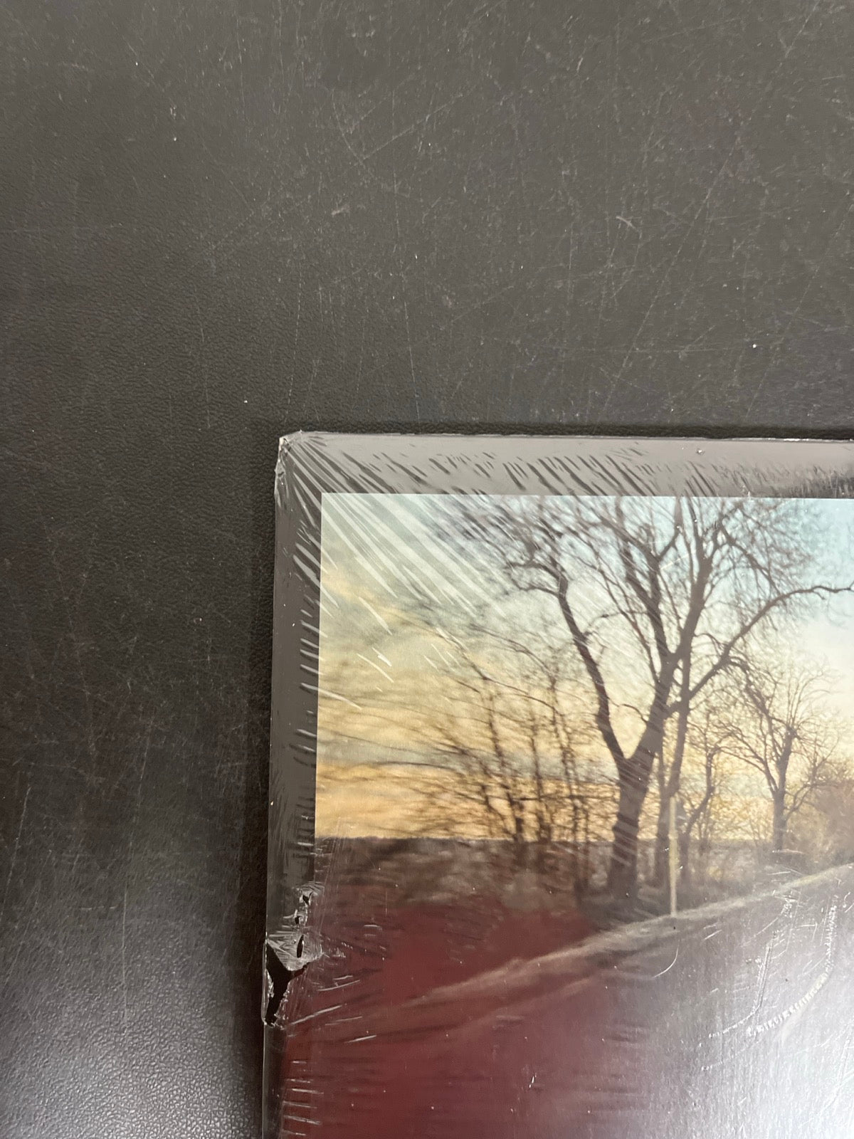 BACK_TL - Daniel Blumberg - The Brutalist OST...LE 180gm Black Vinyl USED NOT TESTED