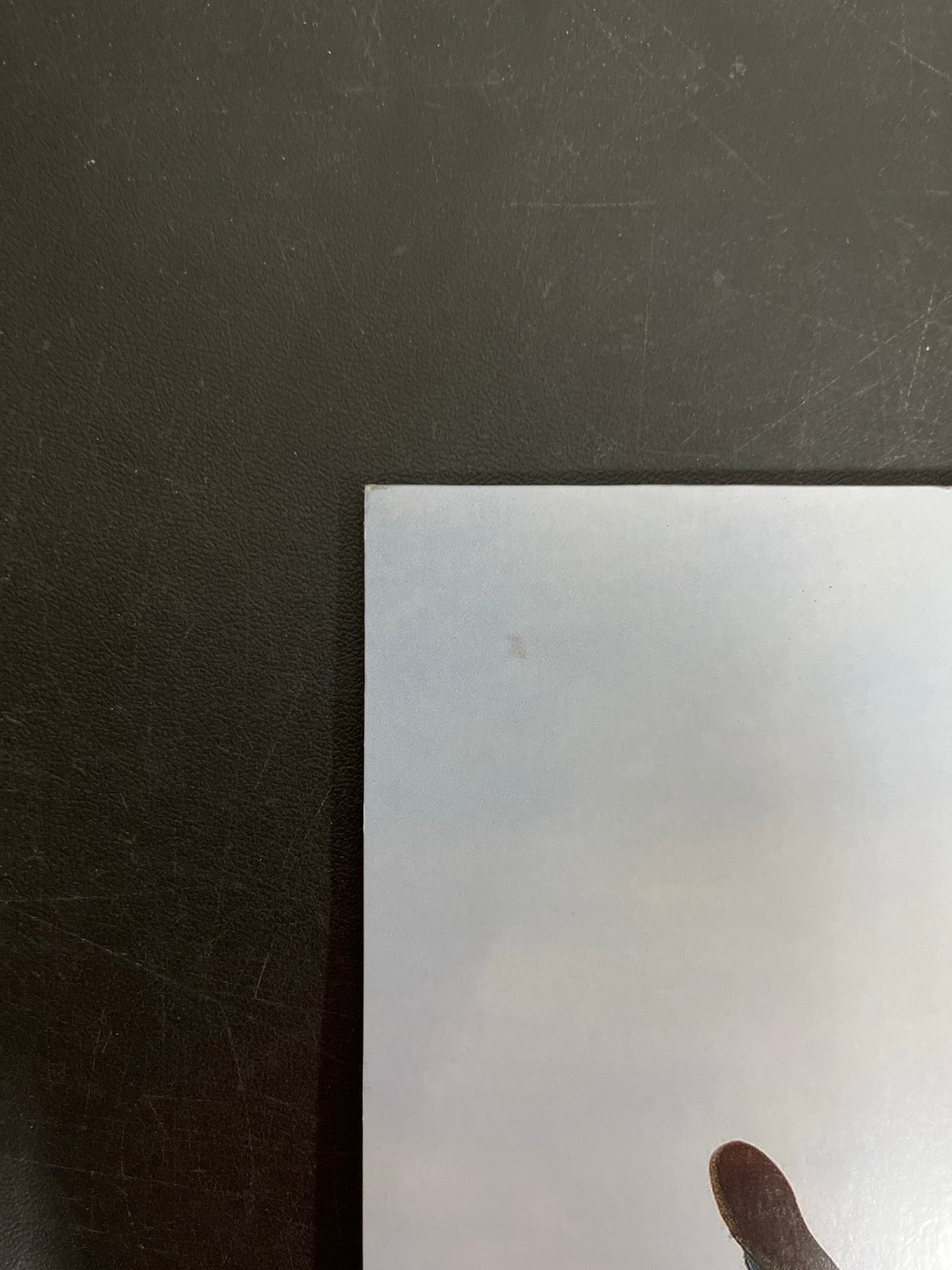 BACK_TL - Tyler, The Creator - Wolf LE Pink Vinyl USED NOT TESTED