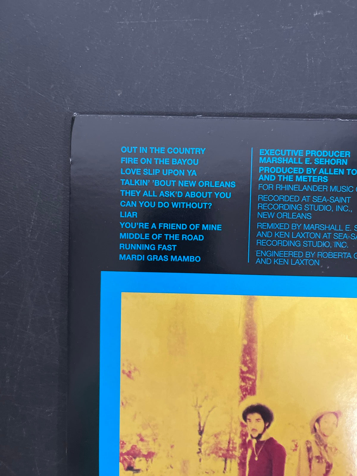 BACK_TL - The Meters - Fire On The Bayou 180gm Reissue Vinyl USED NOT TESTED