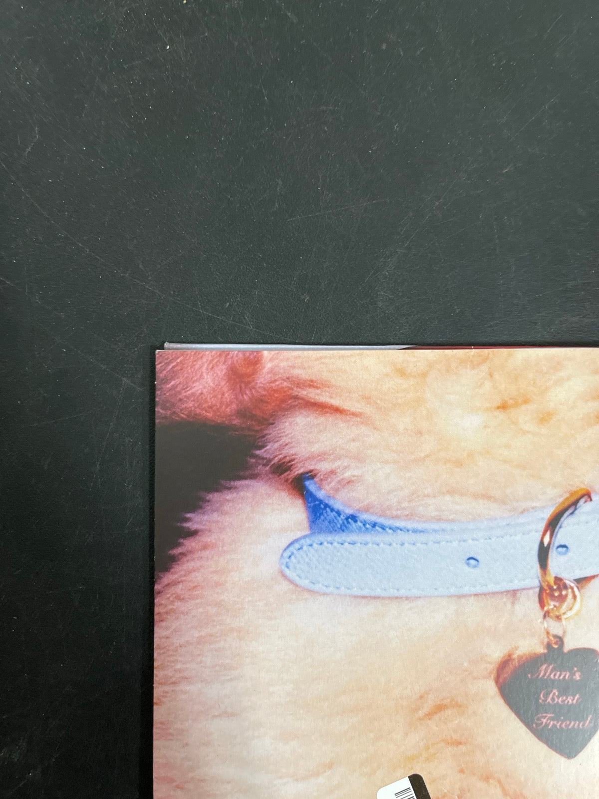 BACK_TL - Sabrina Carpenter - Man's Best Friend LE White Vinyl USED NOT TESTED