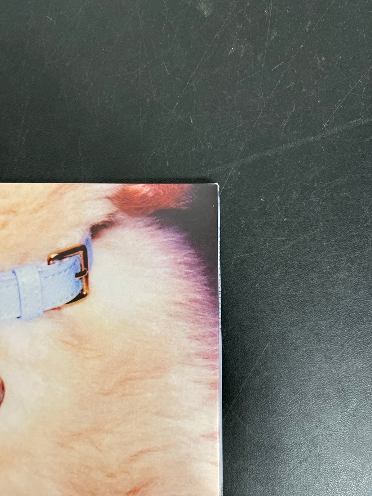 BACK_TR - Sabrina Carpenter - Man's Best Friend LE White Vinyl USED NOT TESTED