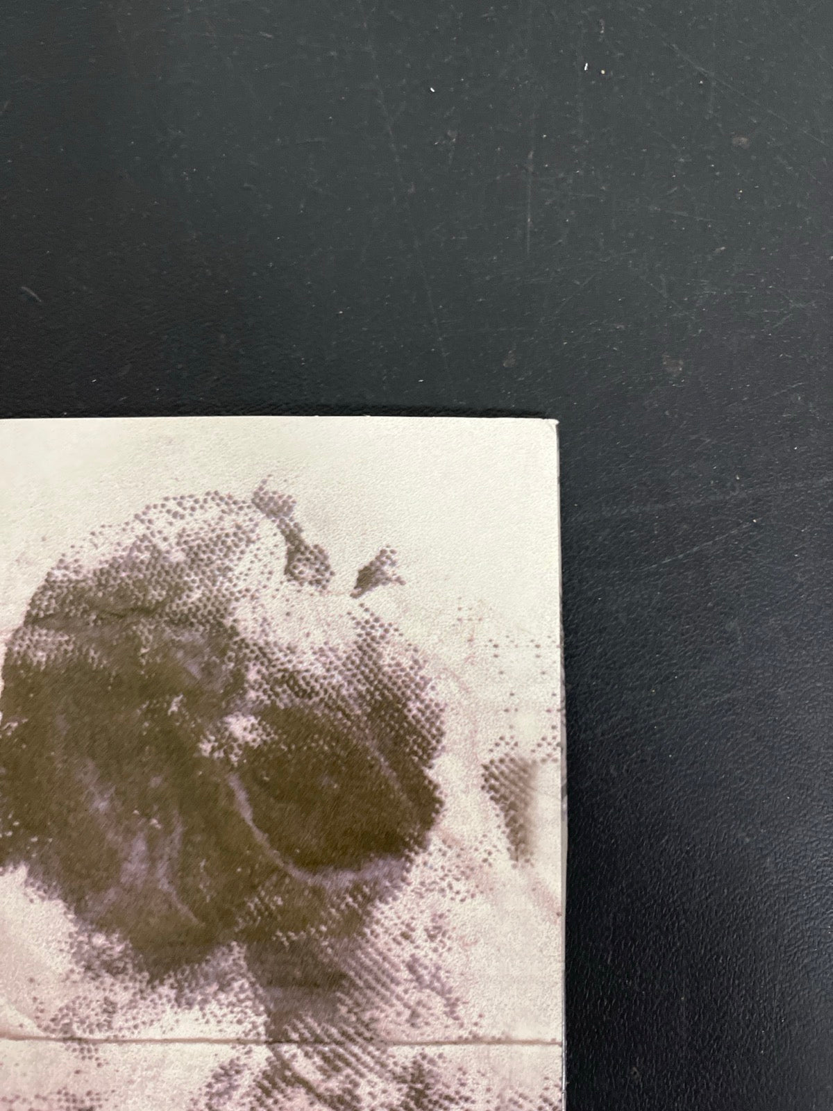BACK_TR - $uicideboy$ - New World Depression Target Exclusive Clear Vinyl USED NOT TESTED