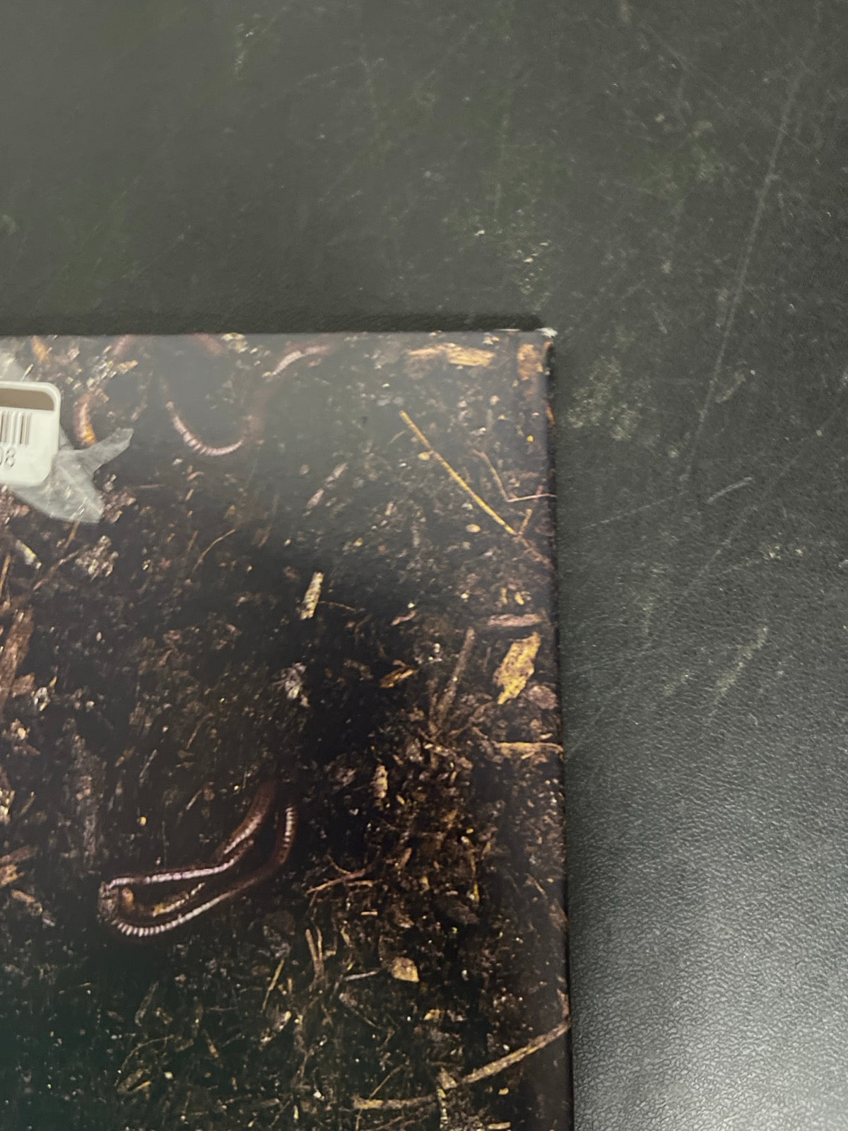 BACK_TR - Hozier - Unreal Unearth Target Exclusive Vinyl USED NOT TESTED