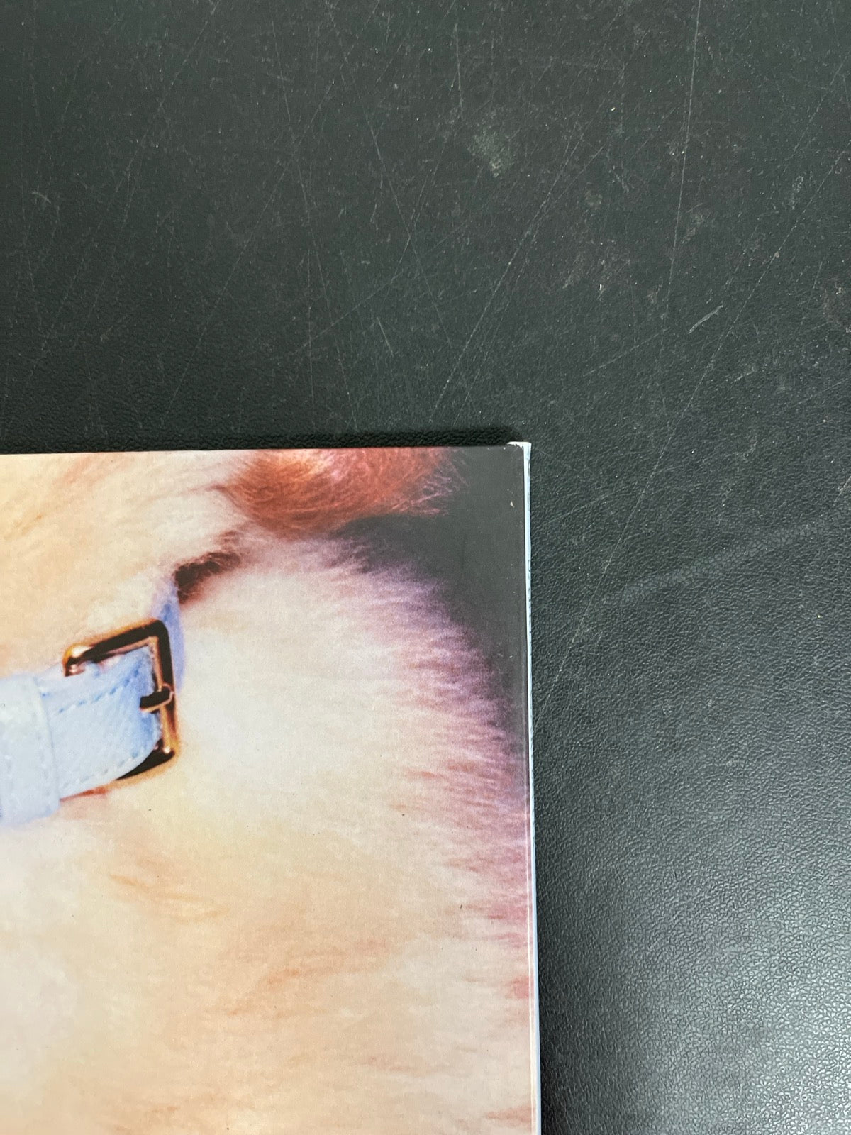 BACK_TR - Sabrina Carpenter - Man's Best Friend LE White Vinyl USED NOT TESTED