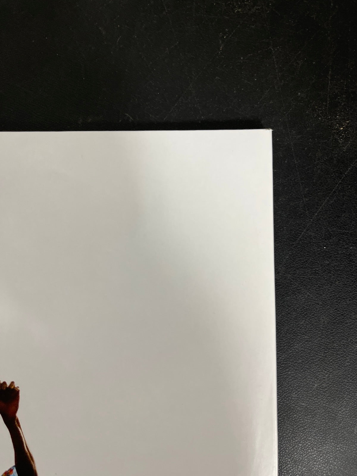 BACK_TR - Tyler, The Creator - Wolf LE Pink Vinyl USED NOT TESTED