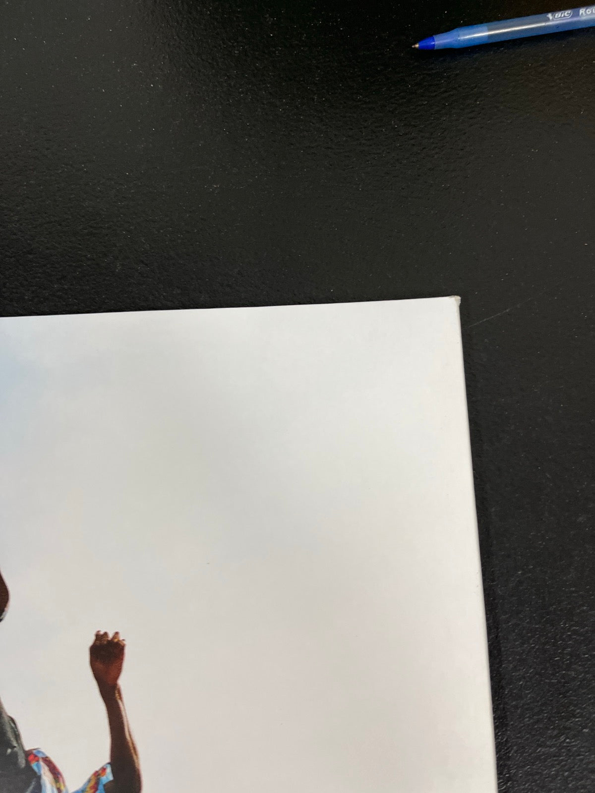 BACK_TR - Tyler, The Creator - Wolf LE Pink Vinyl USED NOT TESTED