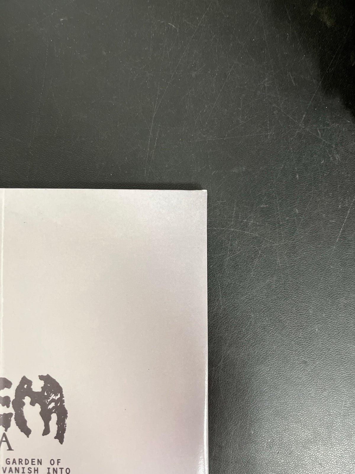BACK_TR - Lady Gaga - MAYHEM LE Yellow Etched Vinyl USED NOT TESTED