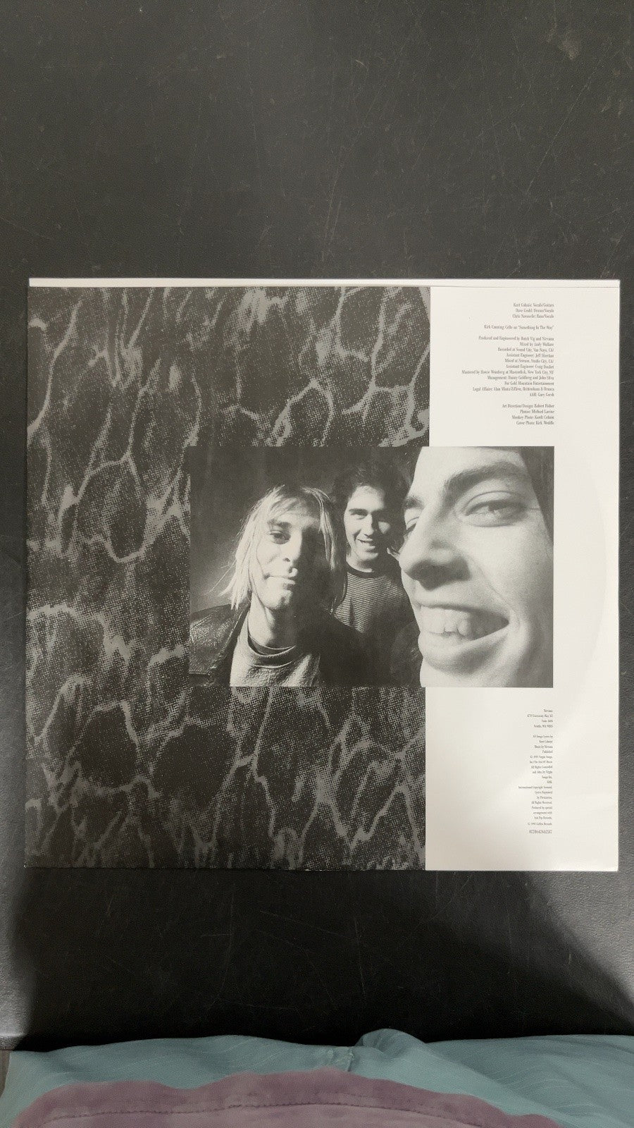 BACK_TR - Nirvana - Nevermind LE 180gm Metallic Silver Vinyl USED NOT TESTED